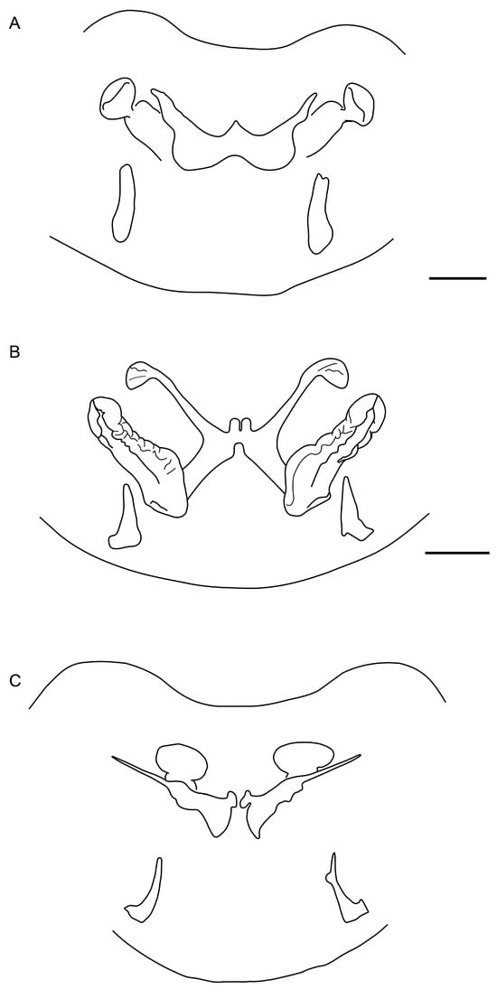 Insects 15 00761 g018
