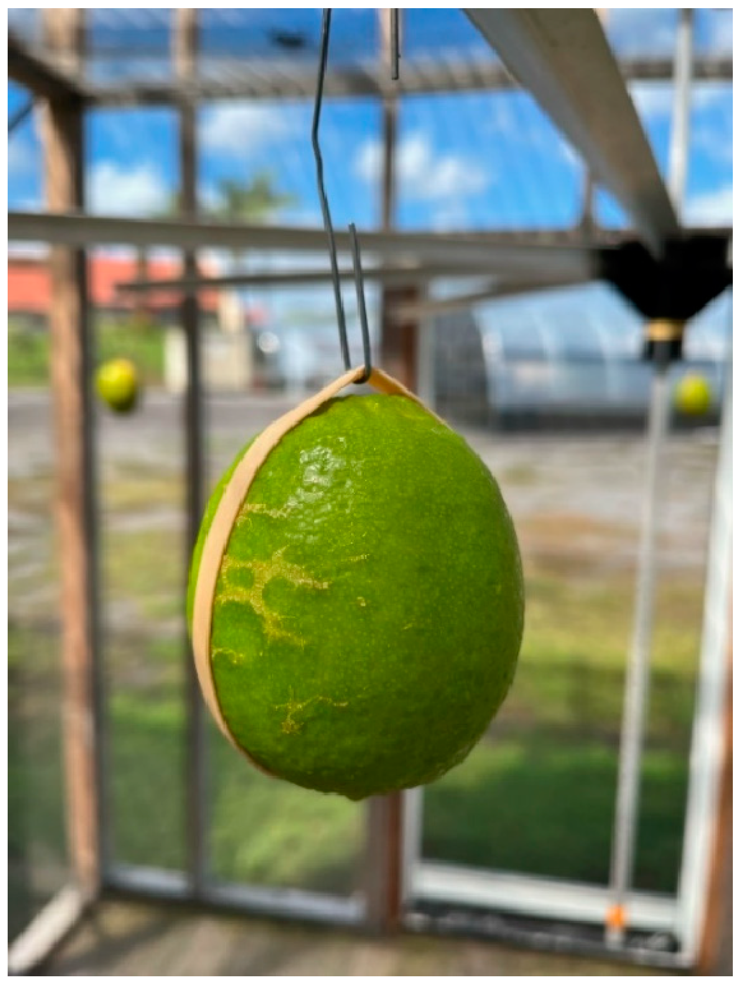 Insects 15 00799 g002 Insects 15 00799 g002