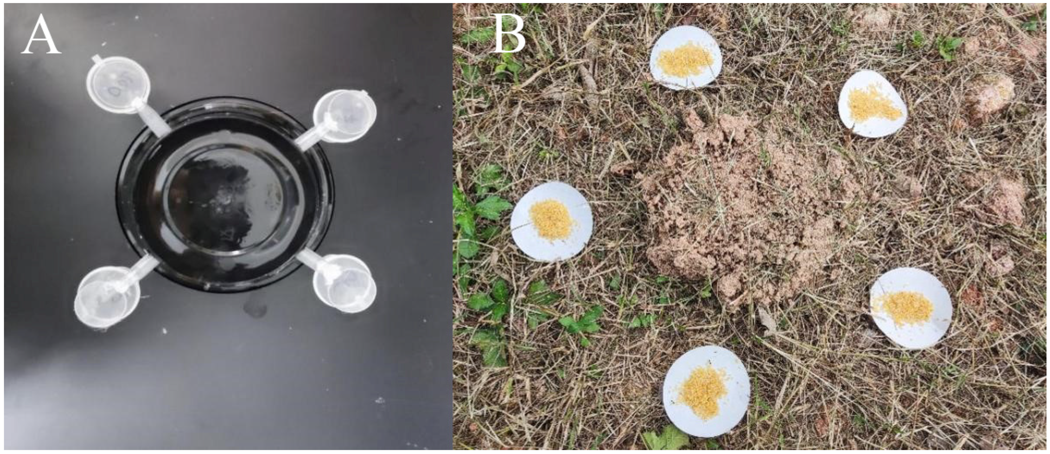 Insects 15 00813 g001