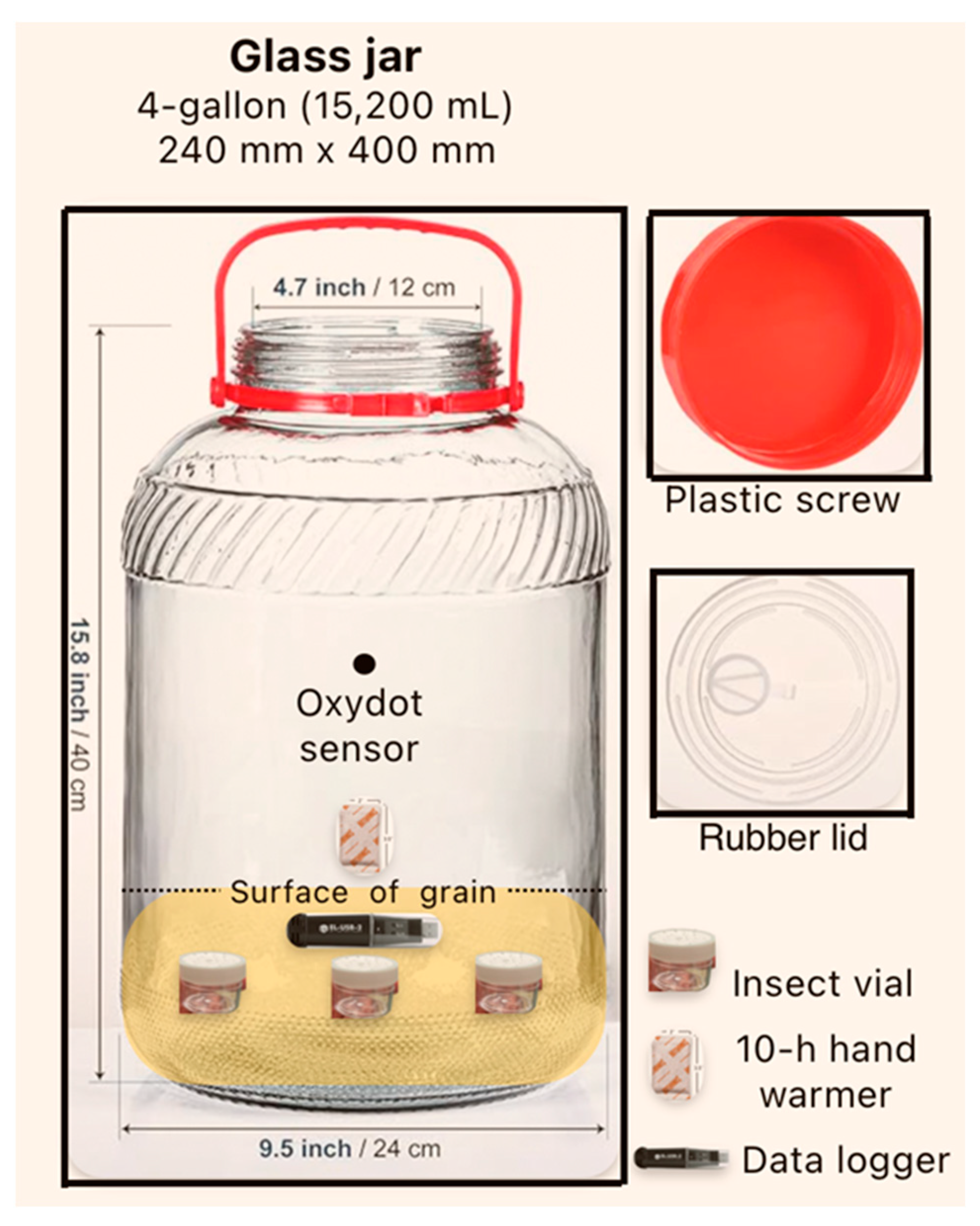 Insects 15 00821 g001