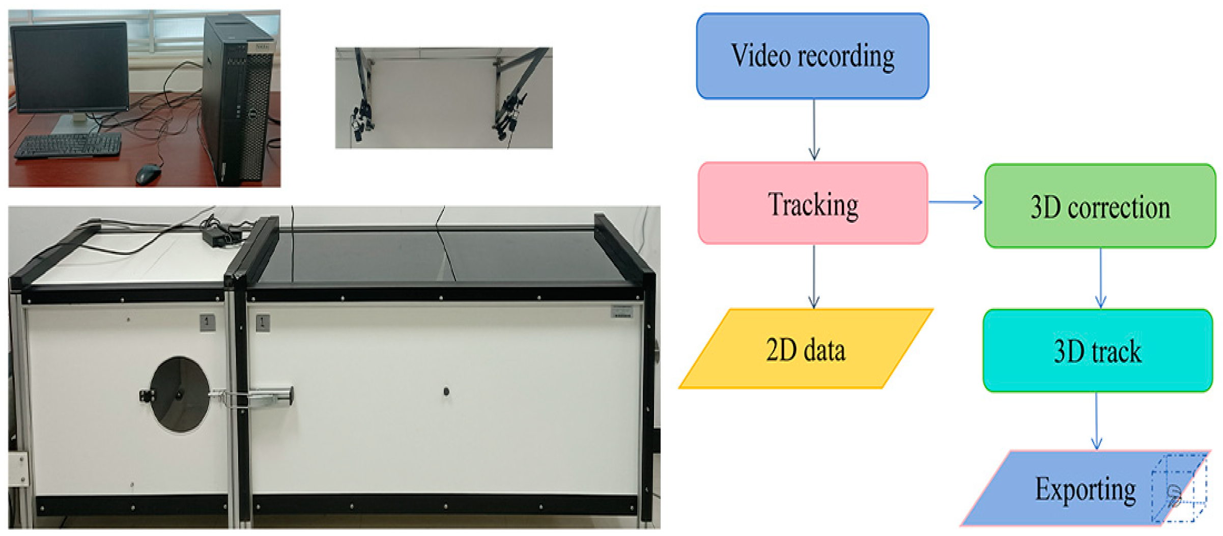 Insects 15 00824 g001