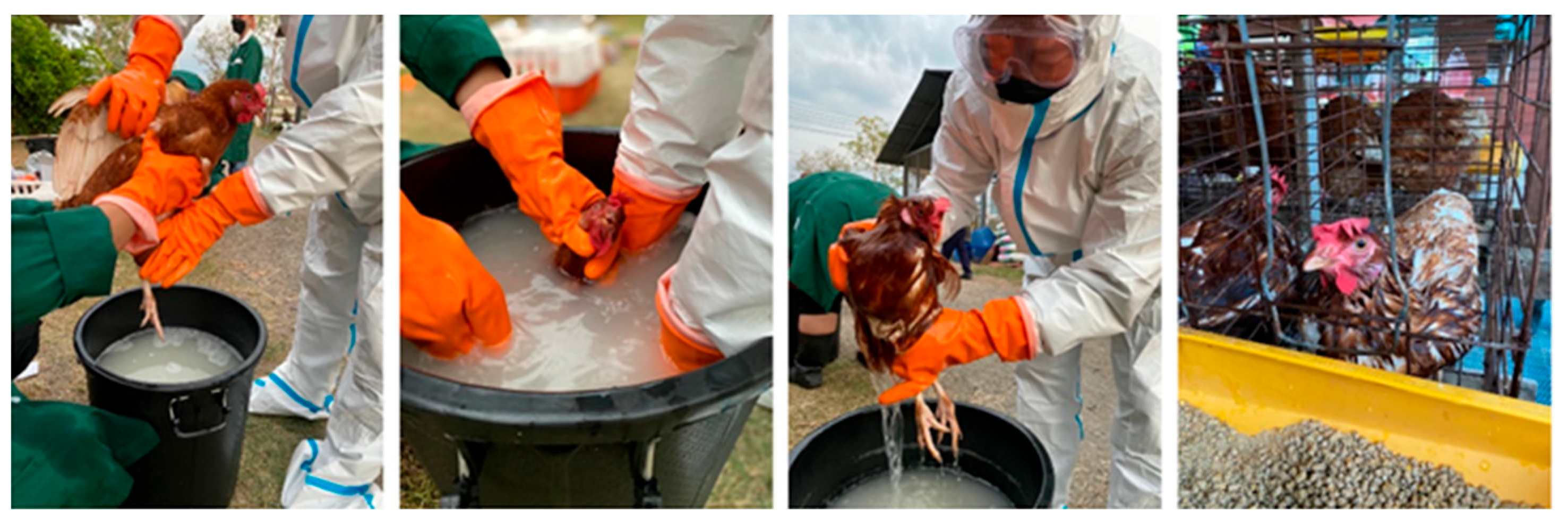 Insects 15 00829 g001