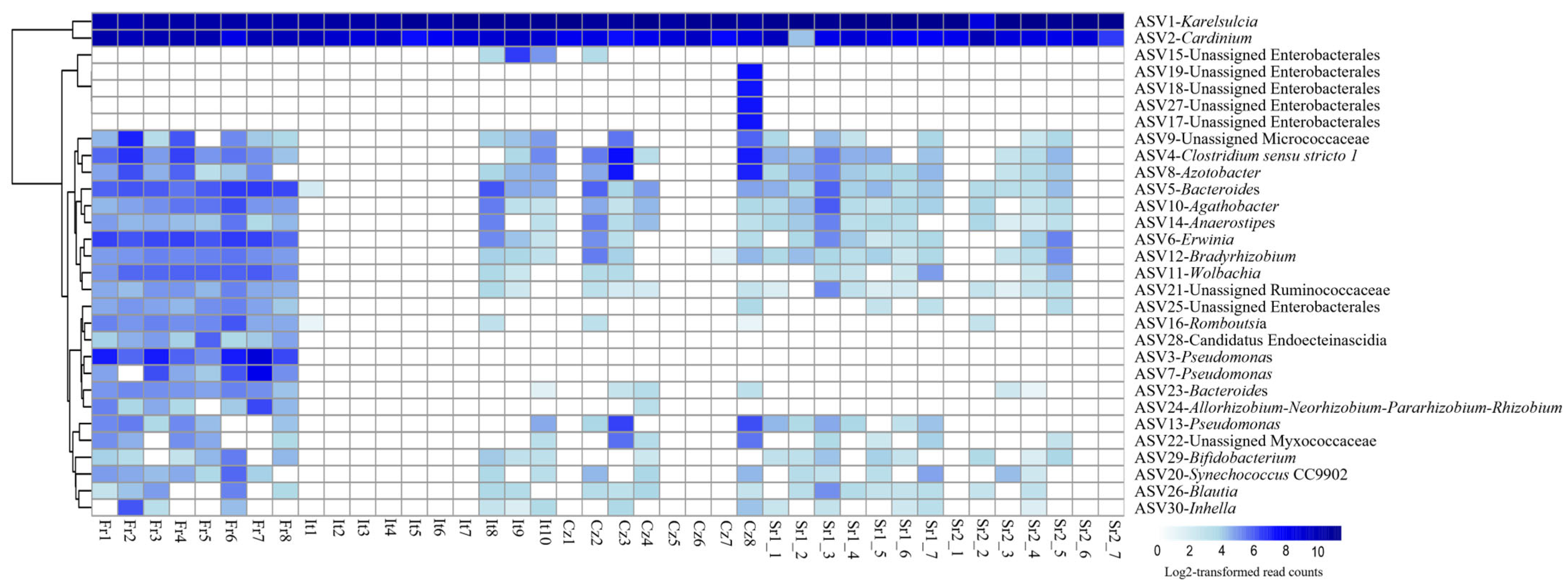 Insects 15 00830 g002