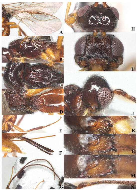 Insects 15 00835 g009