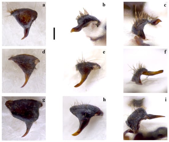 Insects 15 00868 g002