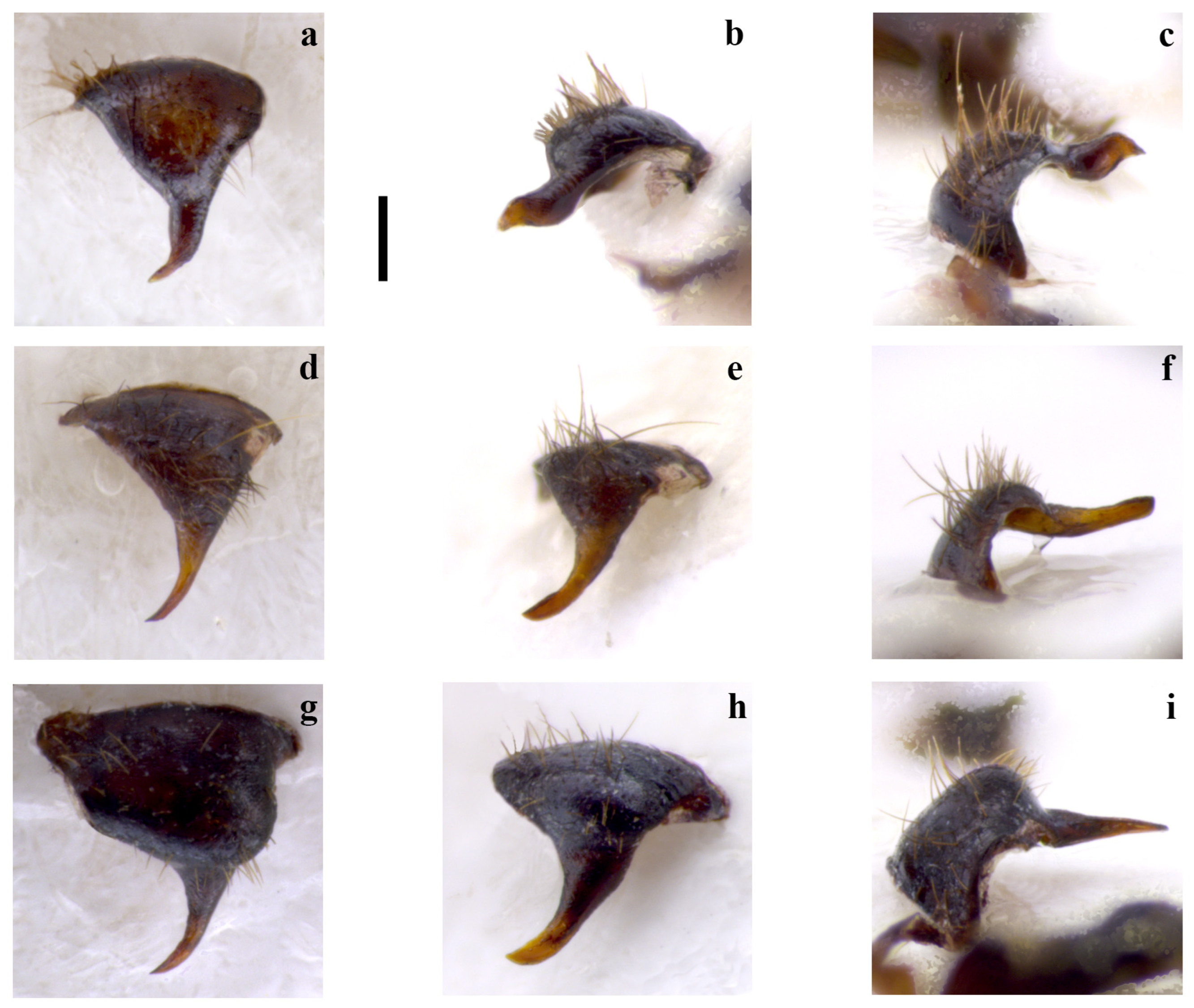 Insects 15 00868 g002