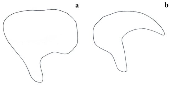 Insects 15 00868 g006