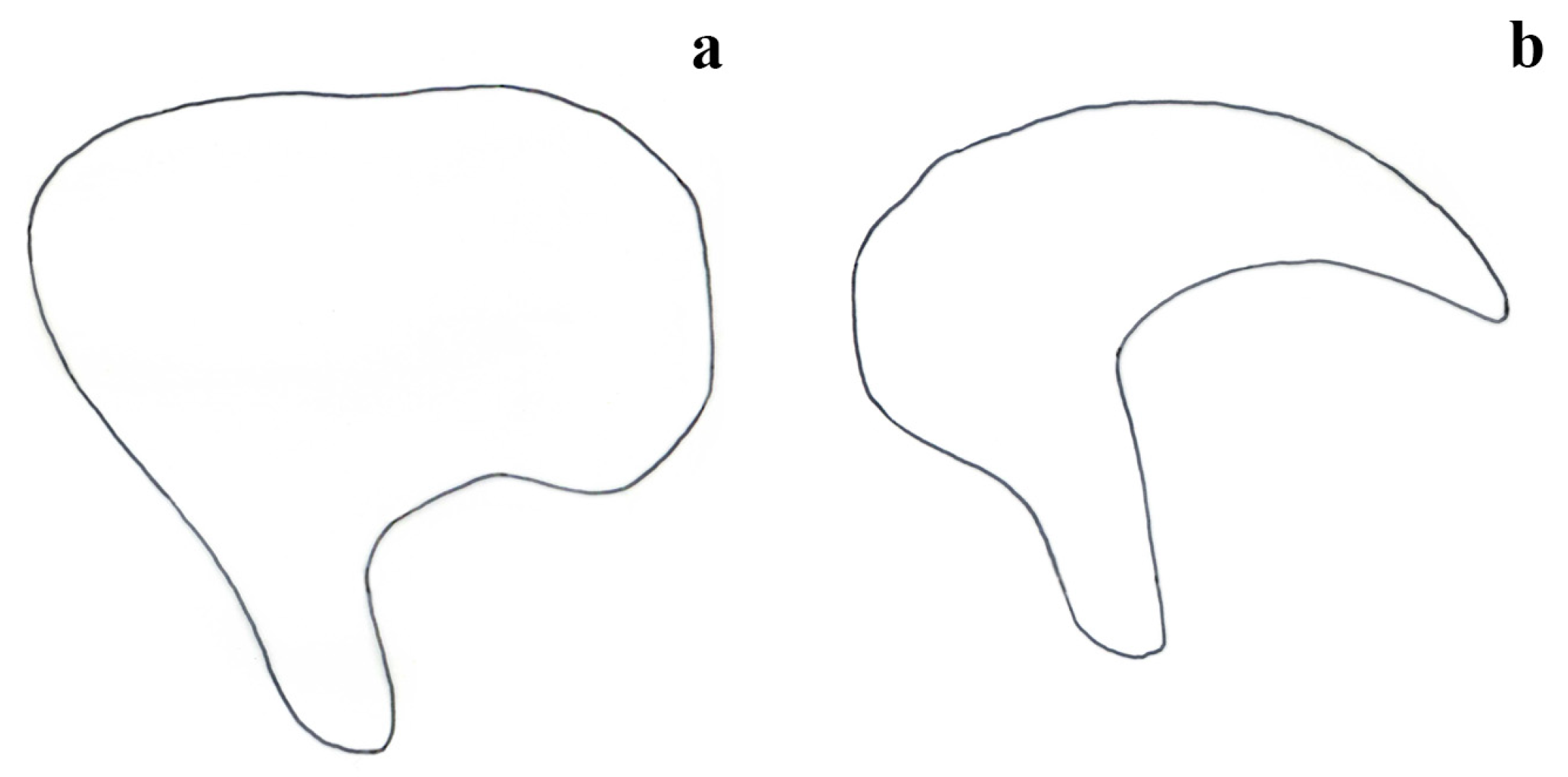 Insects 15 00868 g006