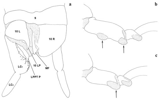 Insects 15 00868 g008