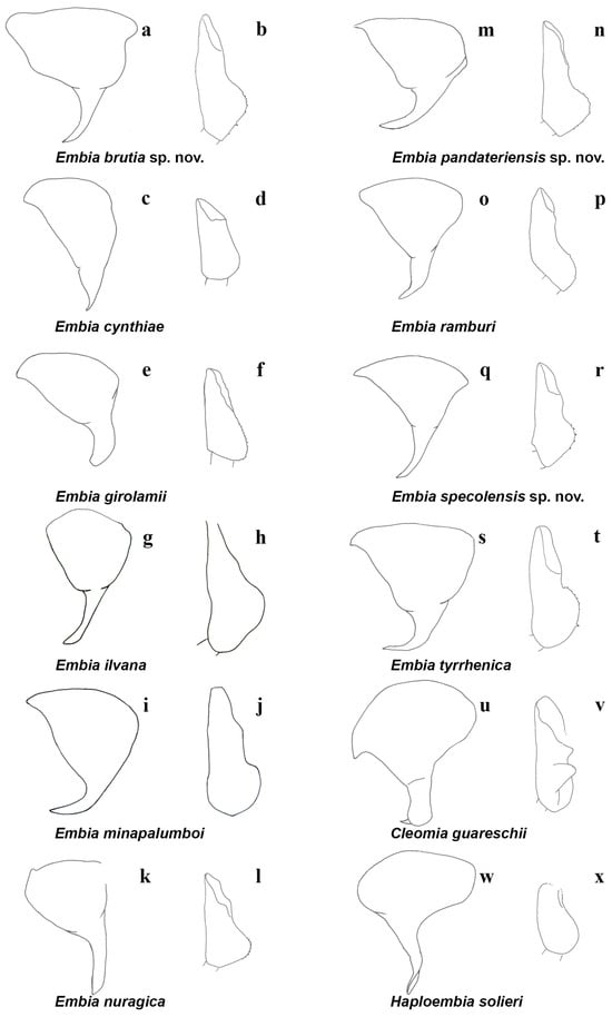 Insects 15 00868 g009