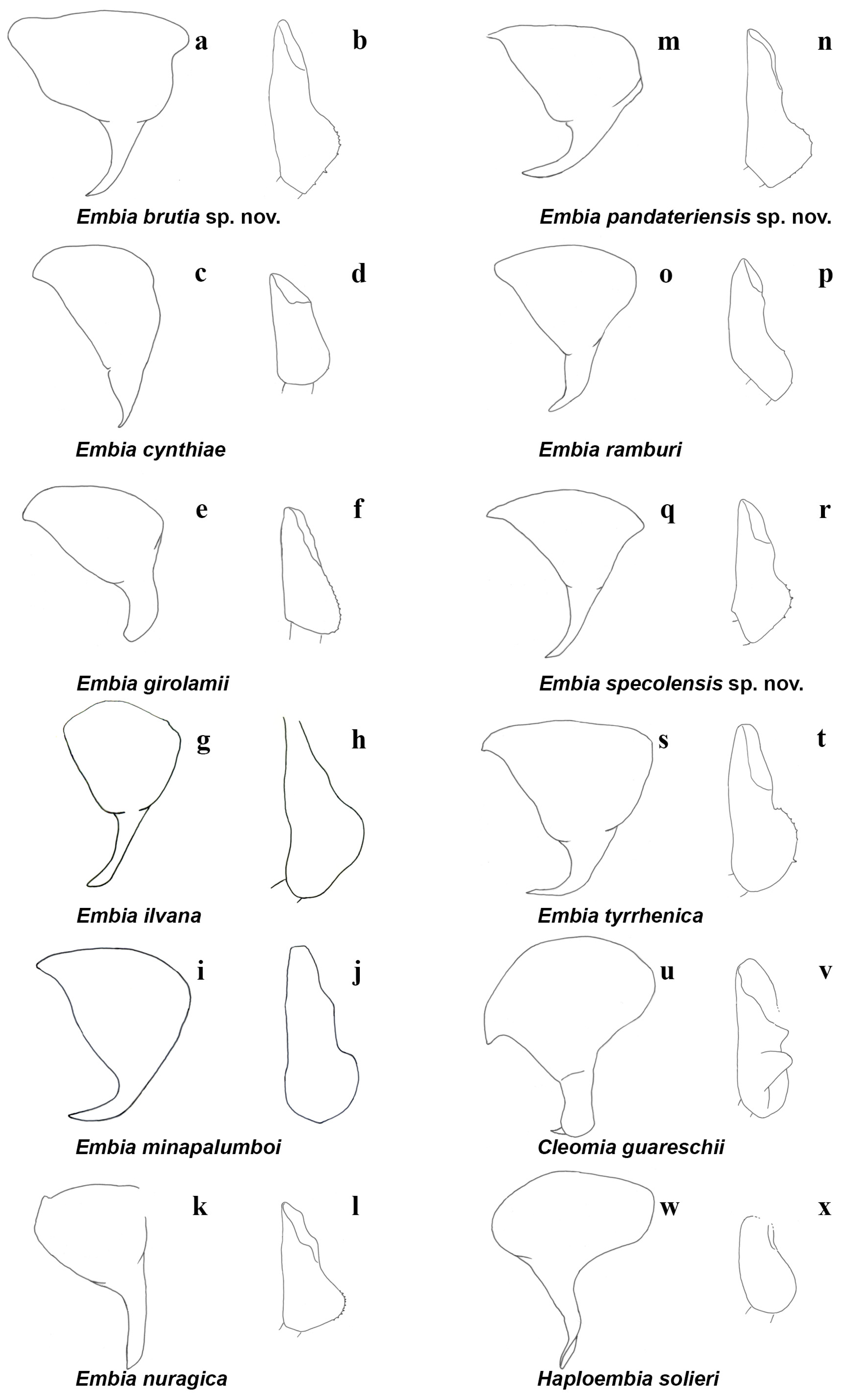 Insects 15 00868 g009