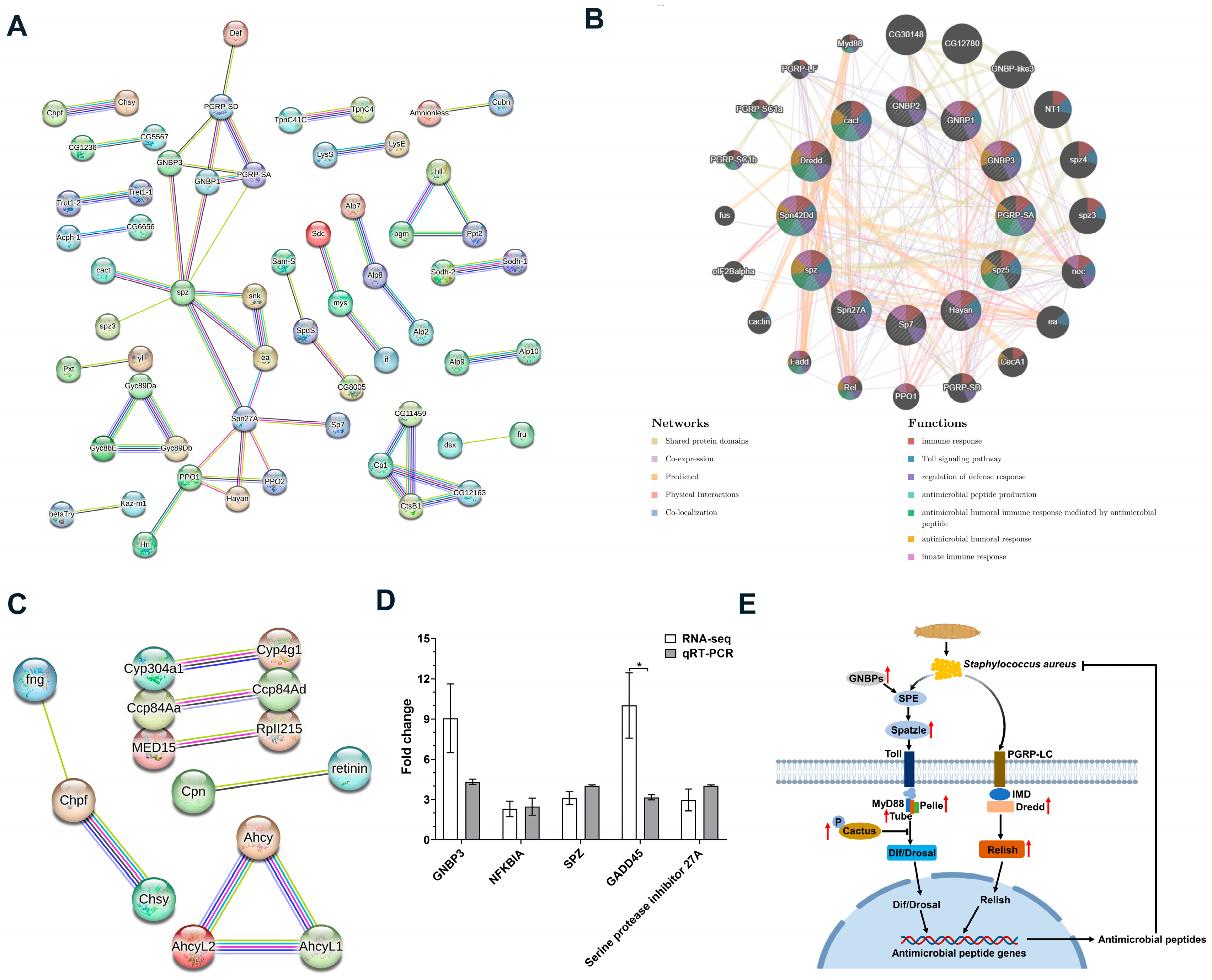 Insects 15 00872 g008