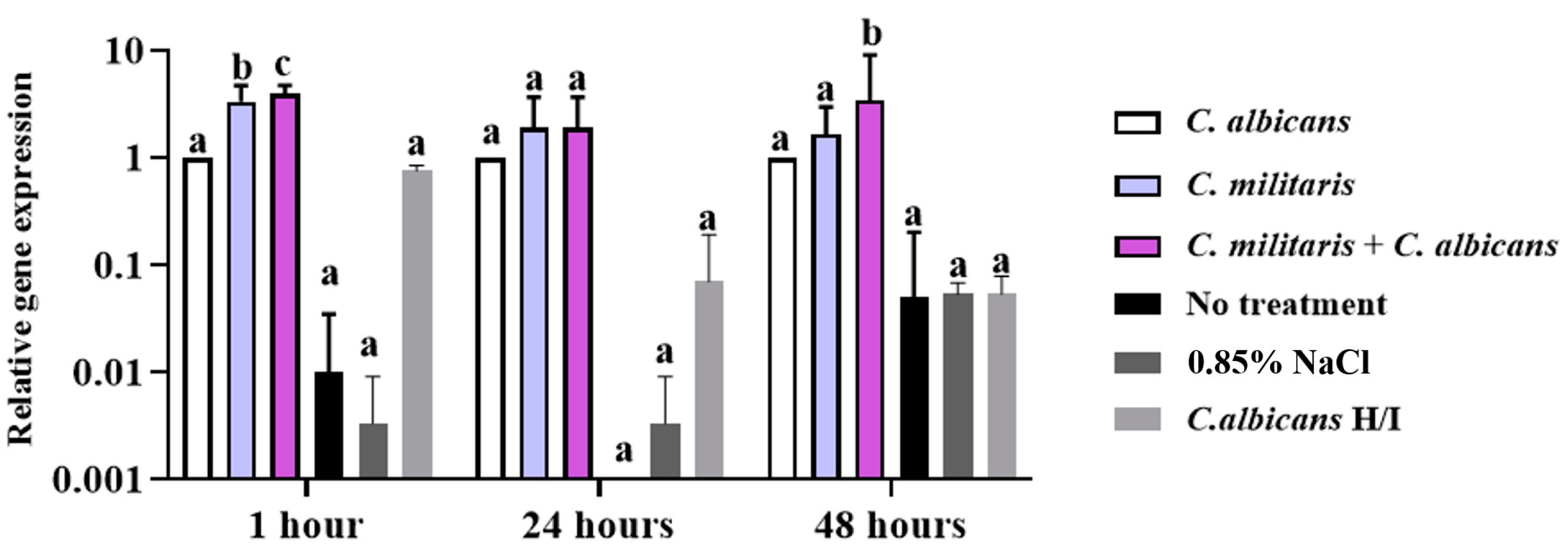 Insects 15 00882 g010