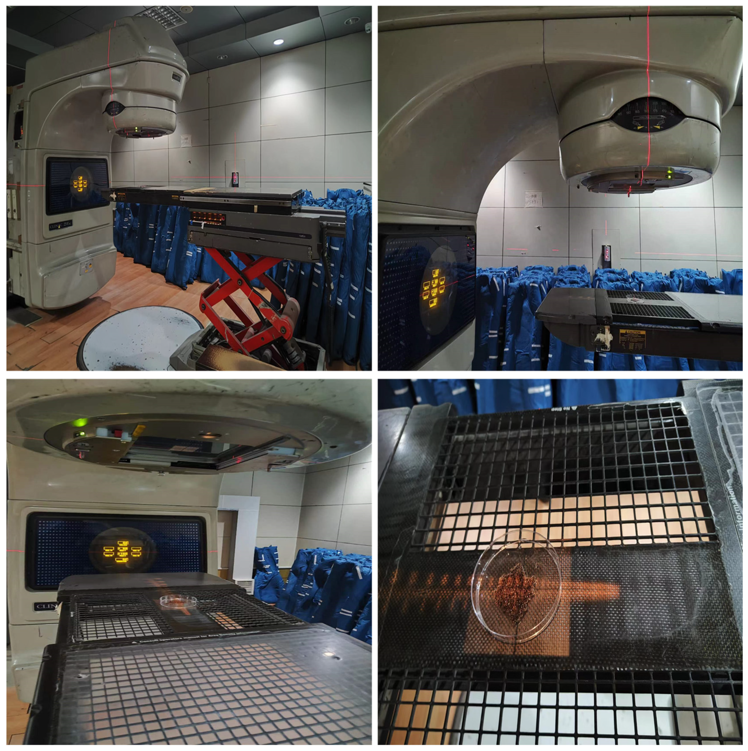 Insects 15 00898 g001