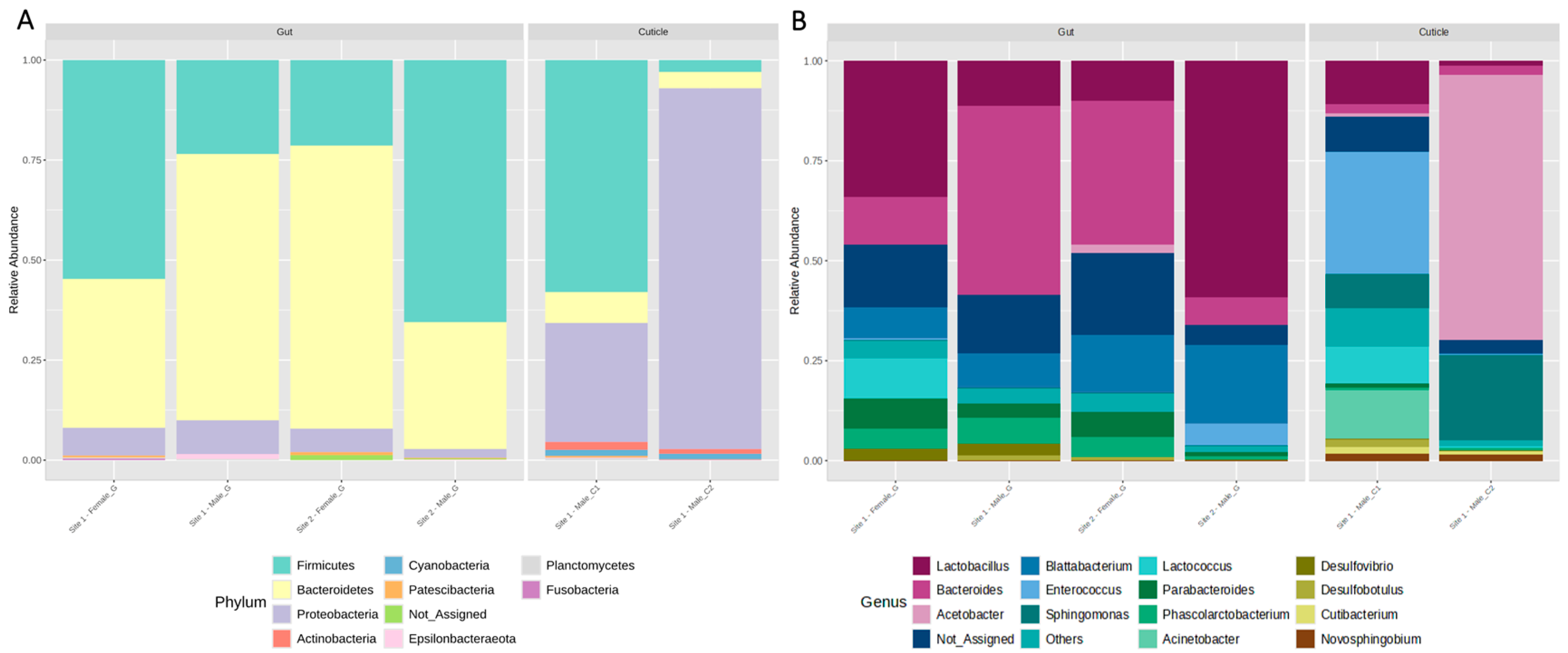 Insects 15 00903 g002
