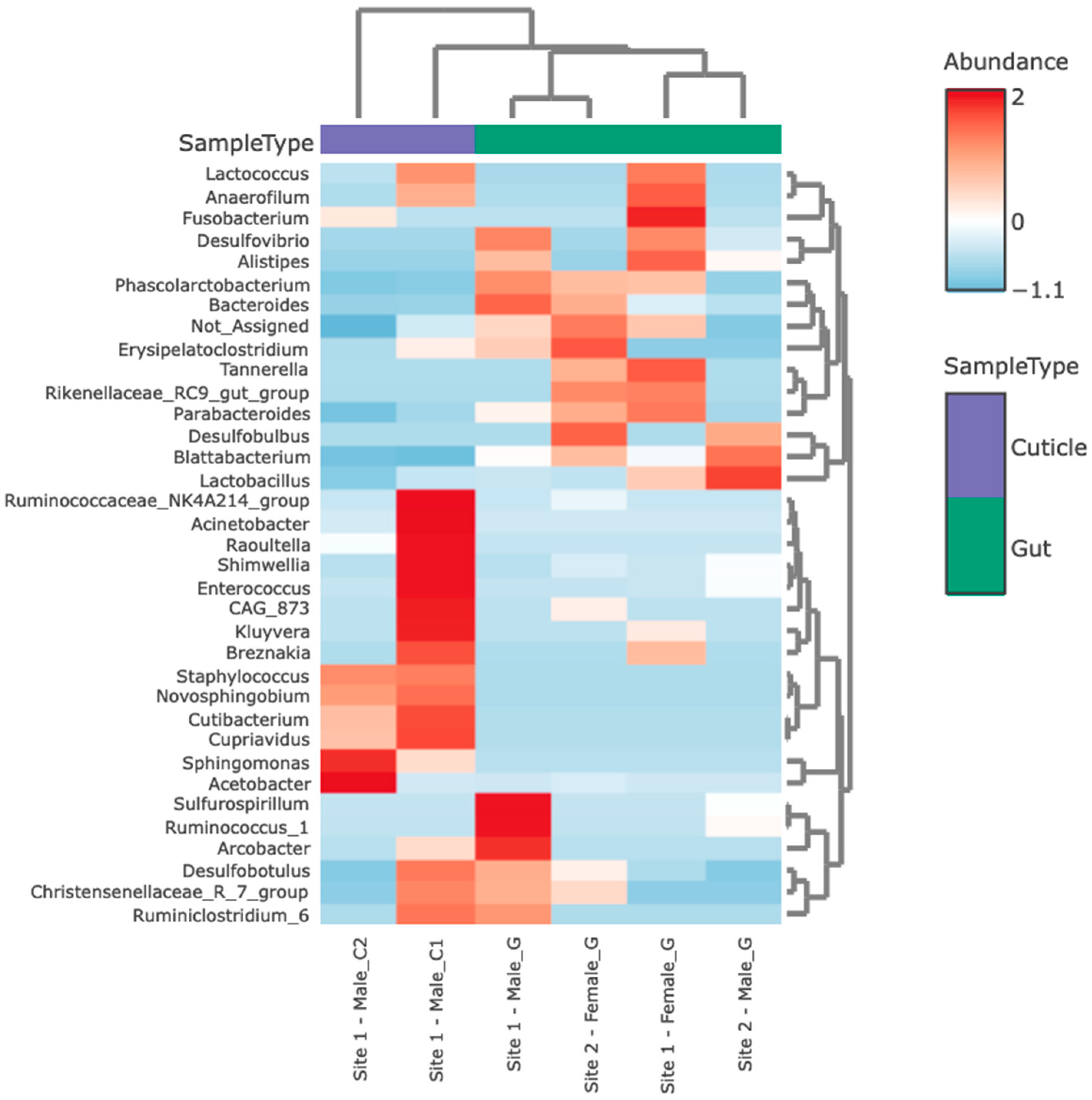 Insects 15 00903 g004