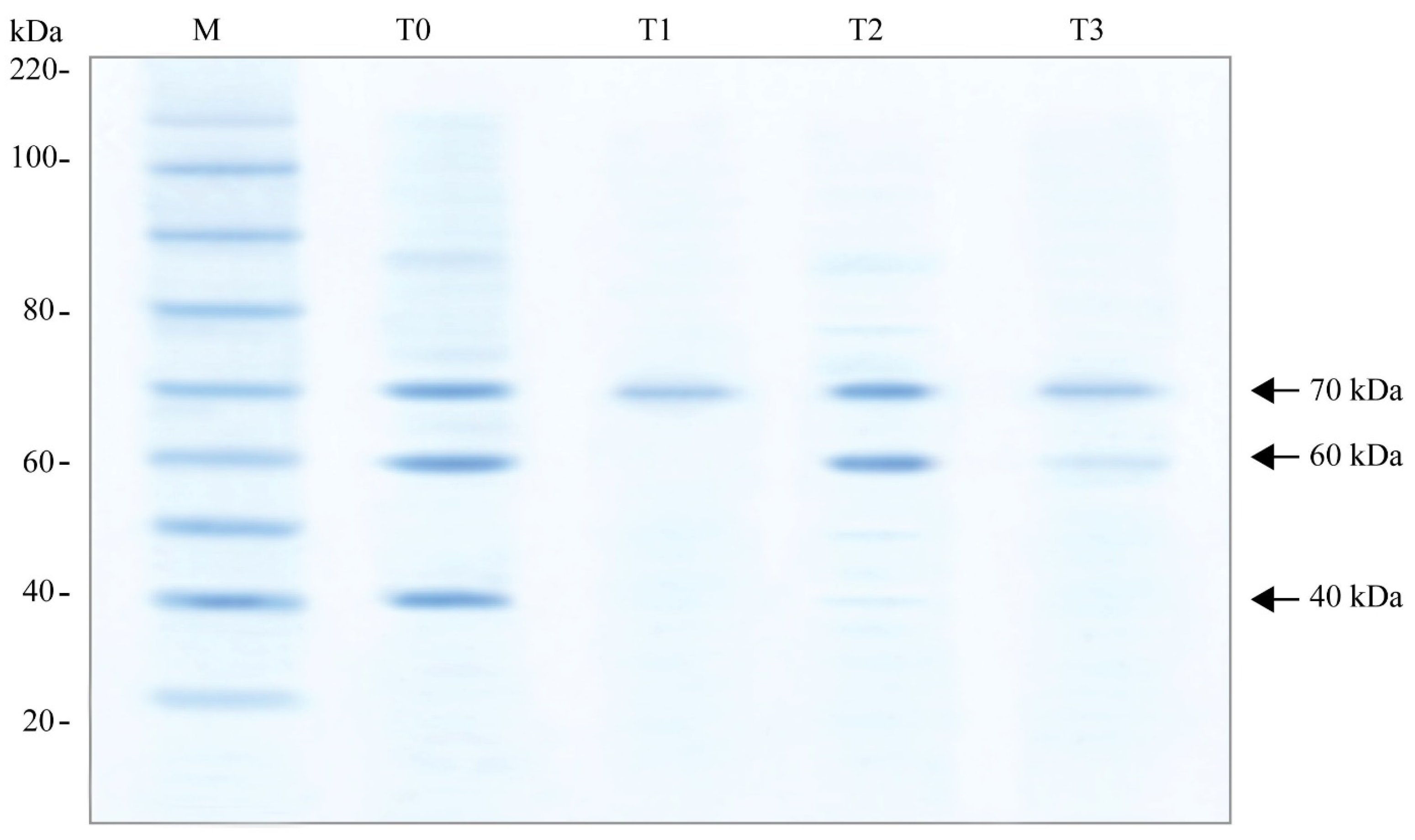 Insects 15 00905 g002