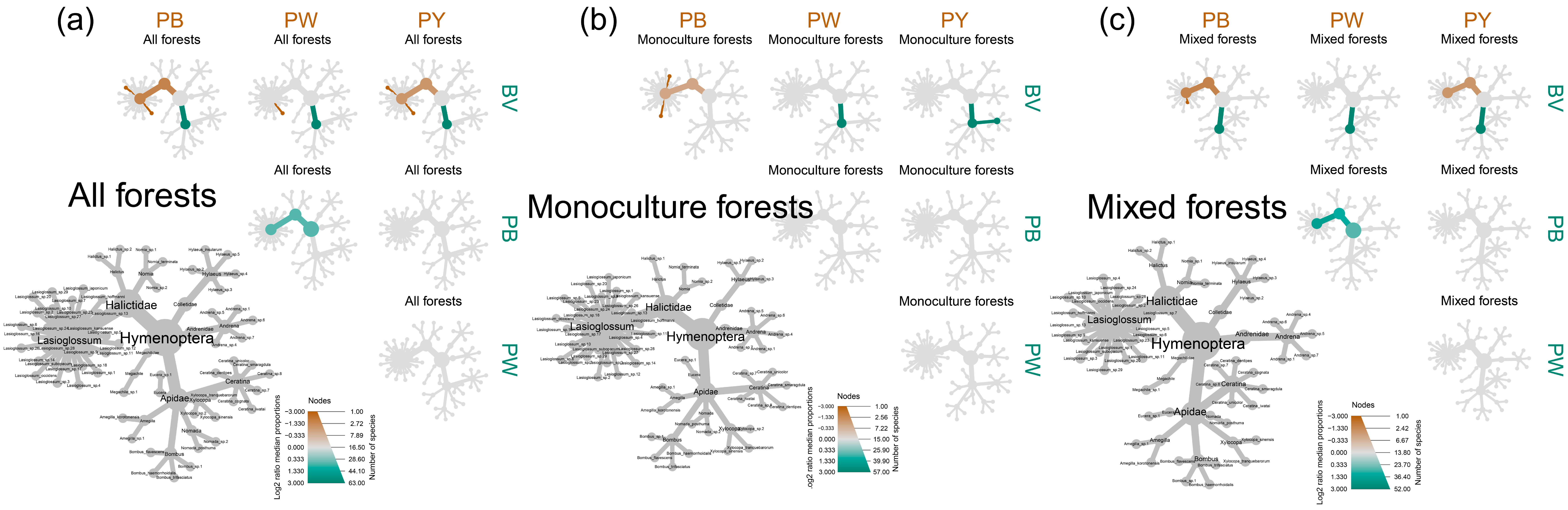 Insects 15 00909 g001
