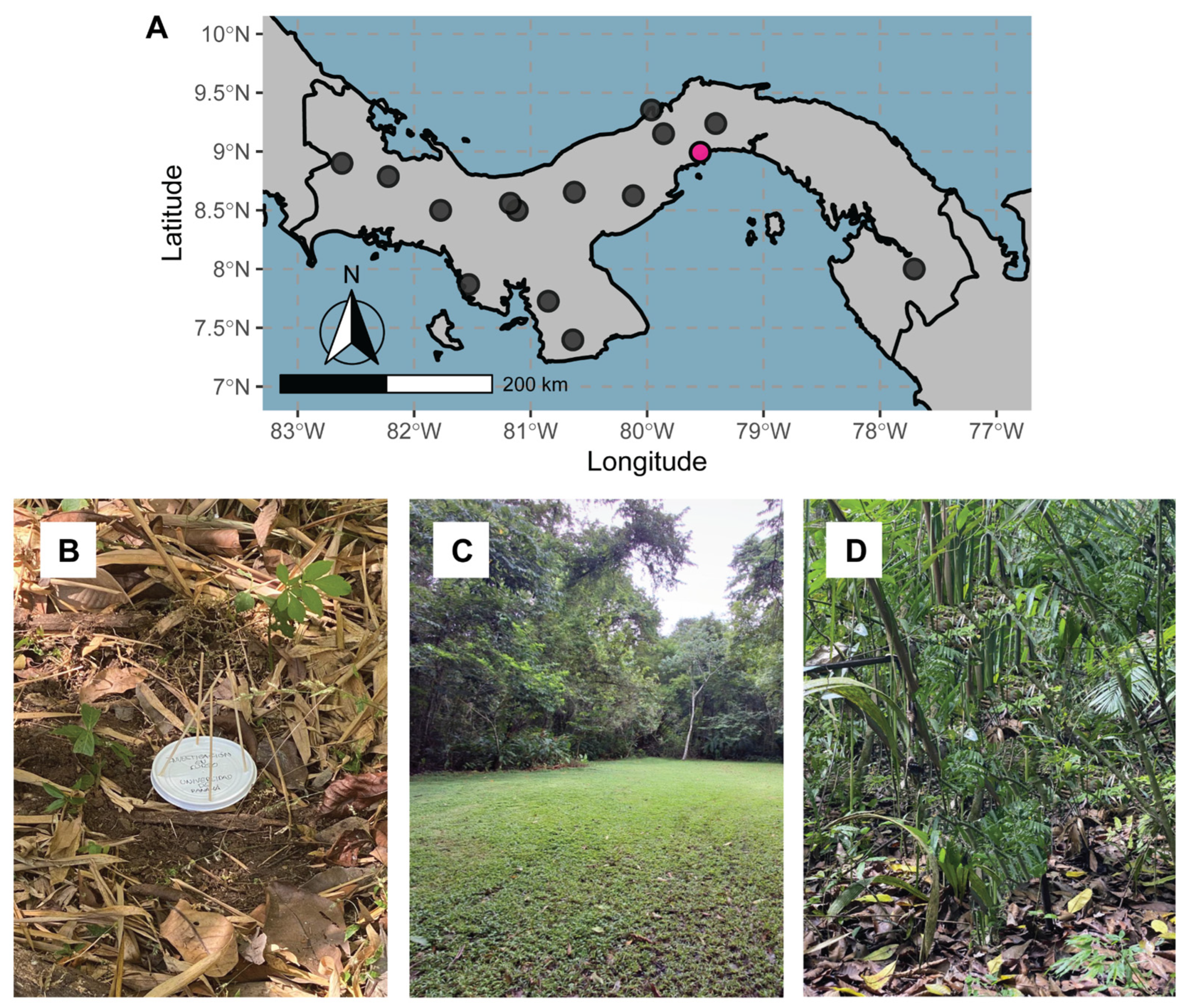 Insects 15 00951 g001