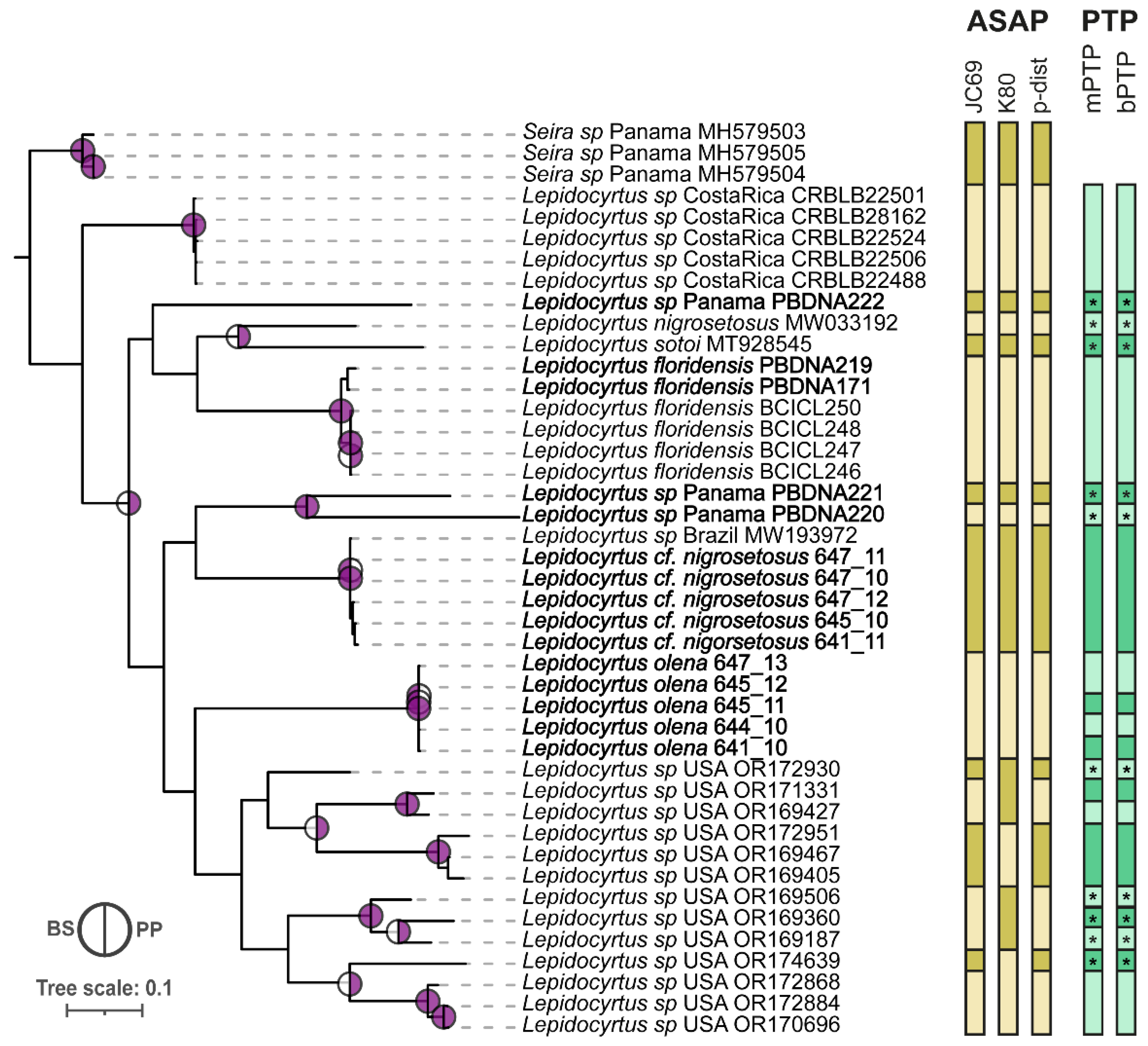 Insects 15 00951 g003