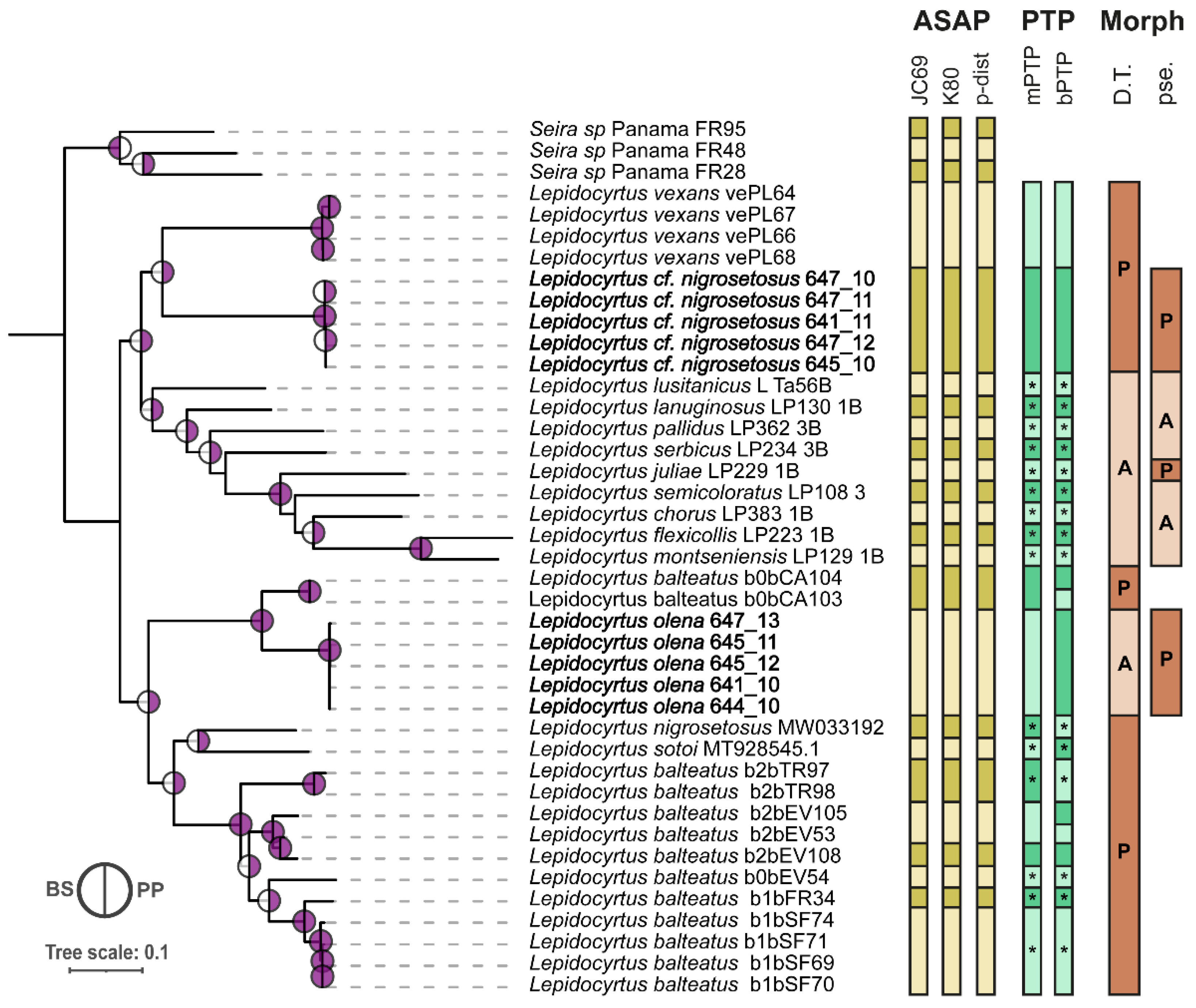 Insects 15 00951 g004