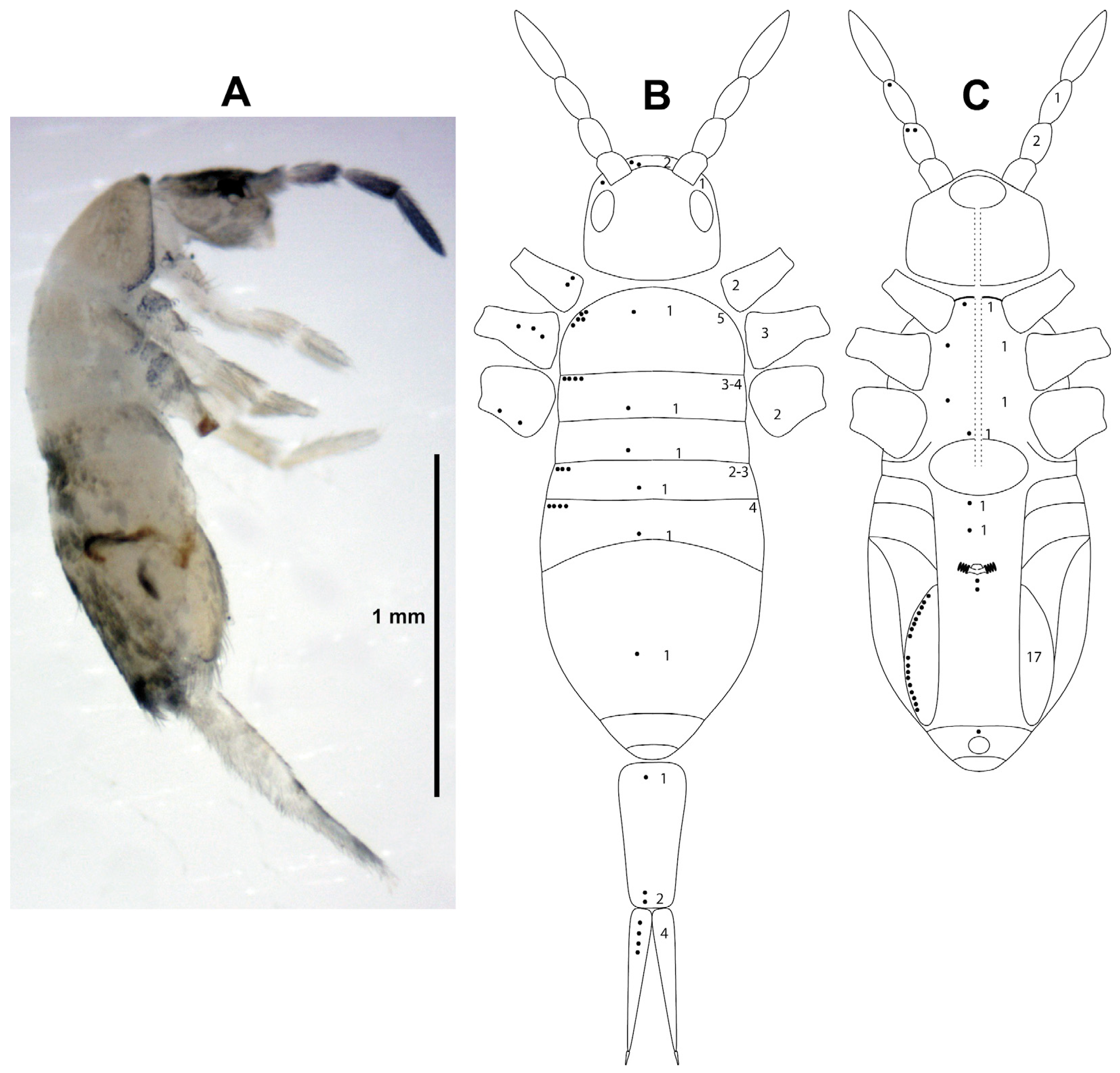 Insects 15 00951 g005