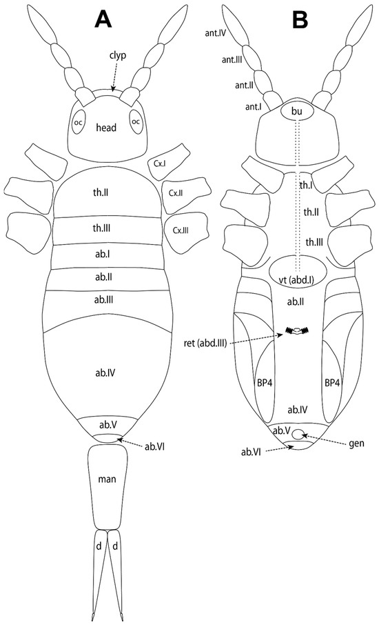Insects 15 00951 g0a1