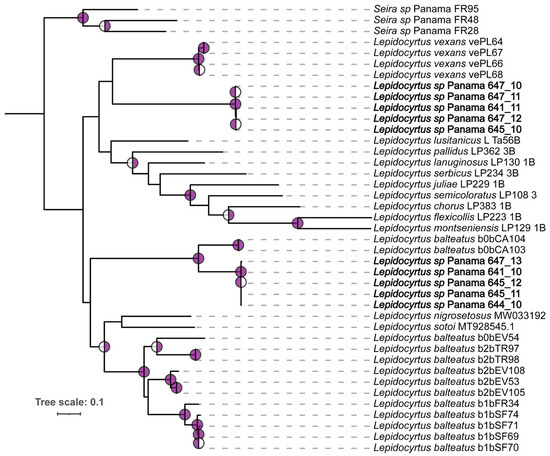 Insects 15 00951 g0a2