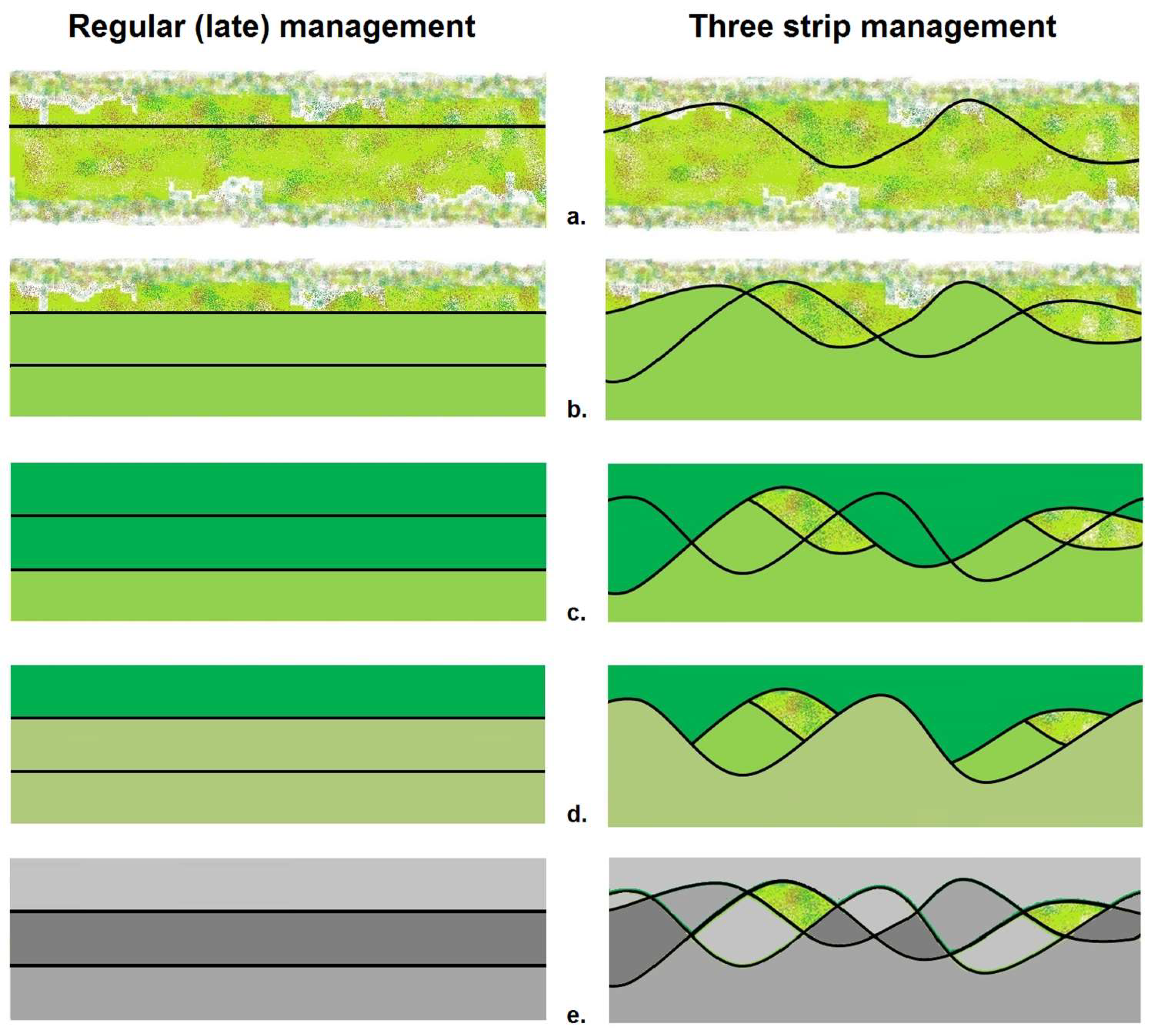 Insects 15 00953 g002