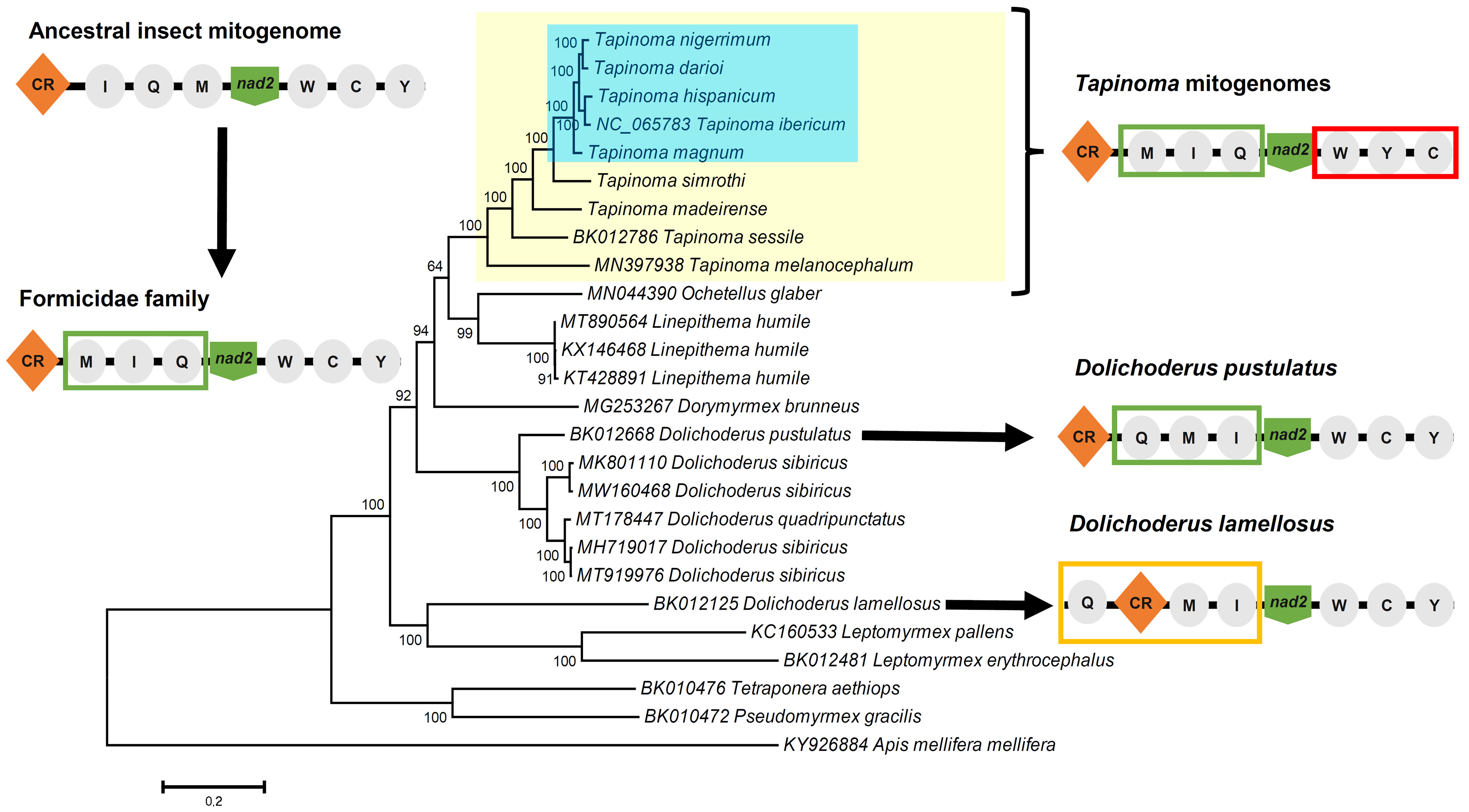 Insects 15 00957 g002