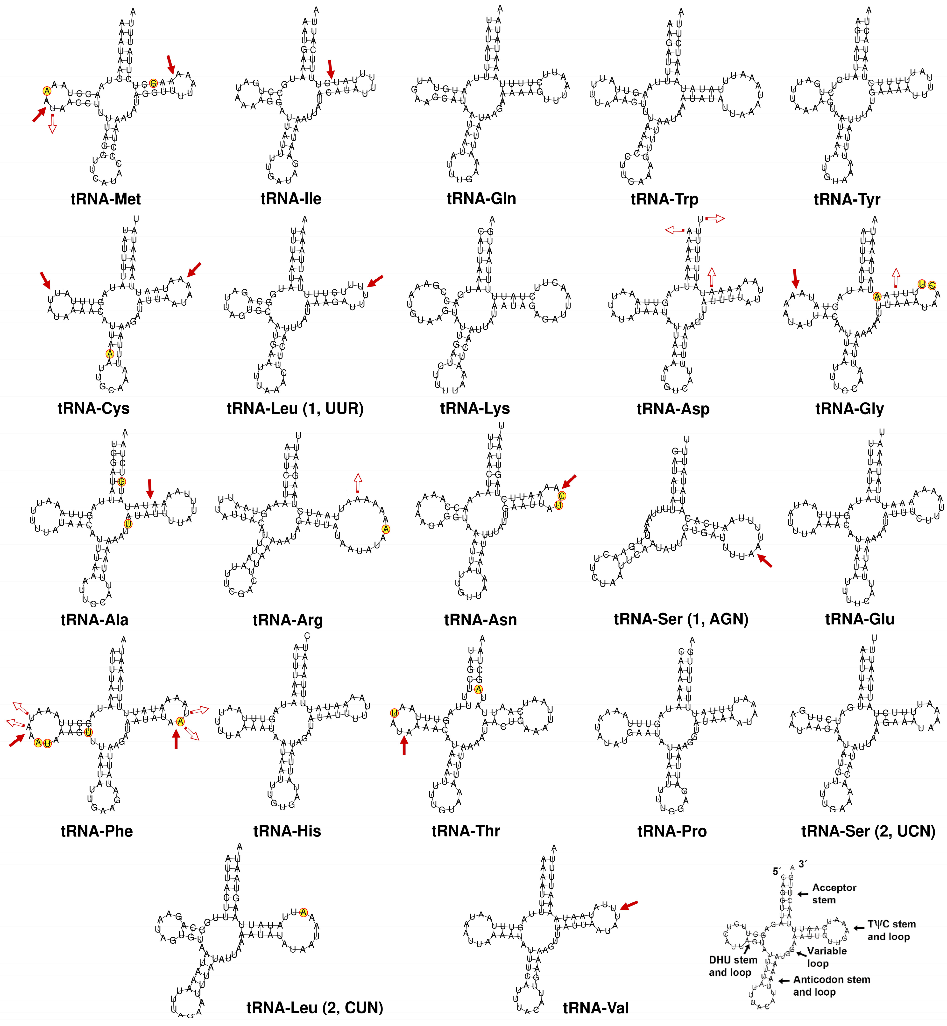 Insects 15 00957 g005