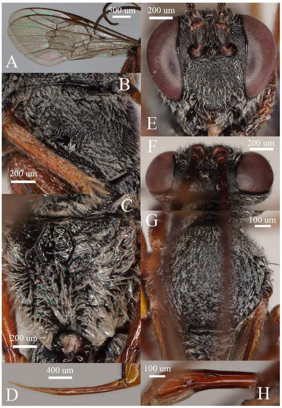 Insects 15 00968 g005