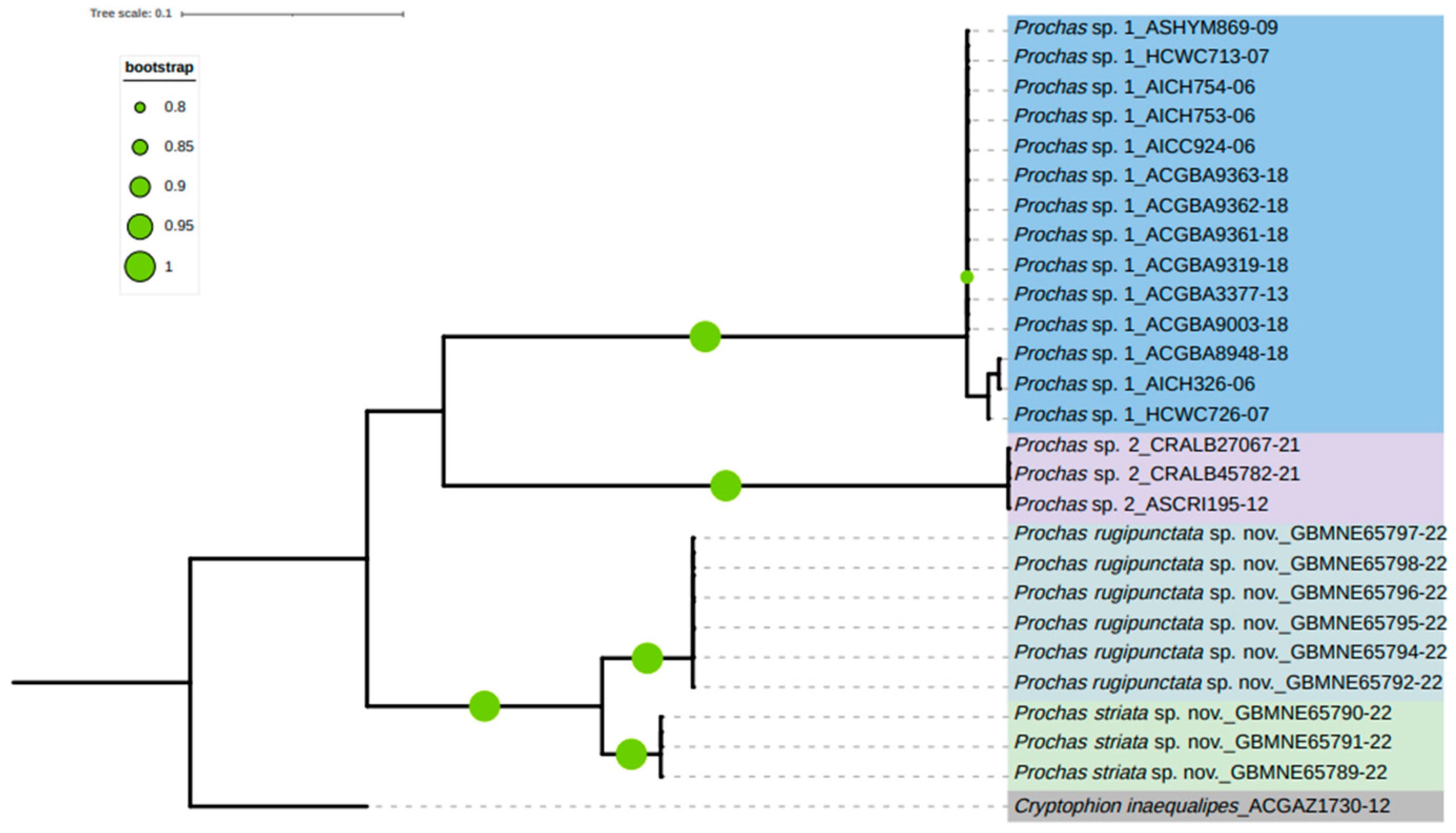 Insects 15 00968 g006