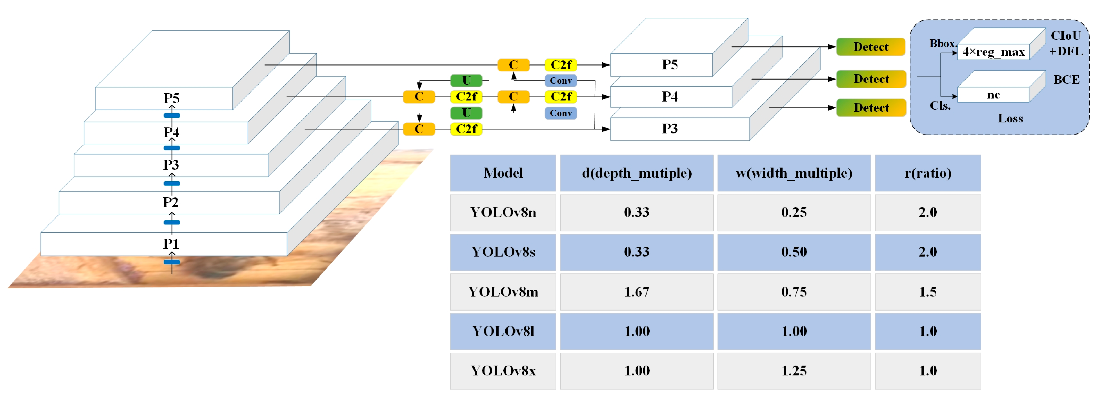 Insects 15 00974 g004