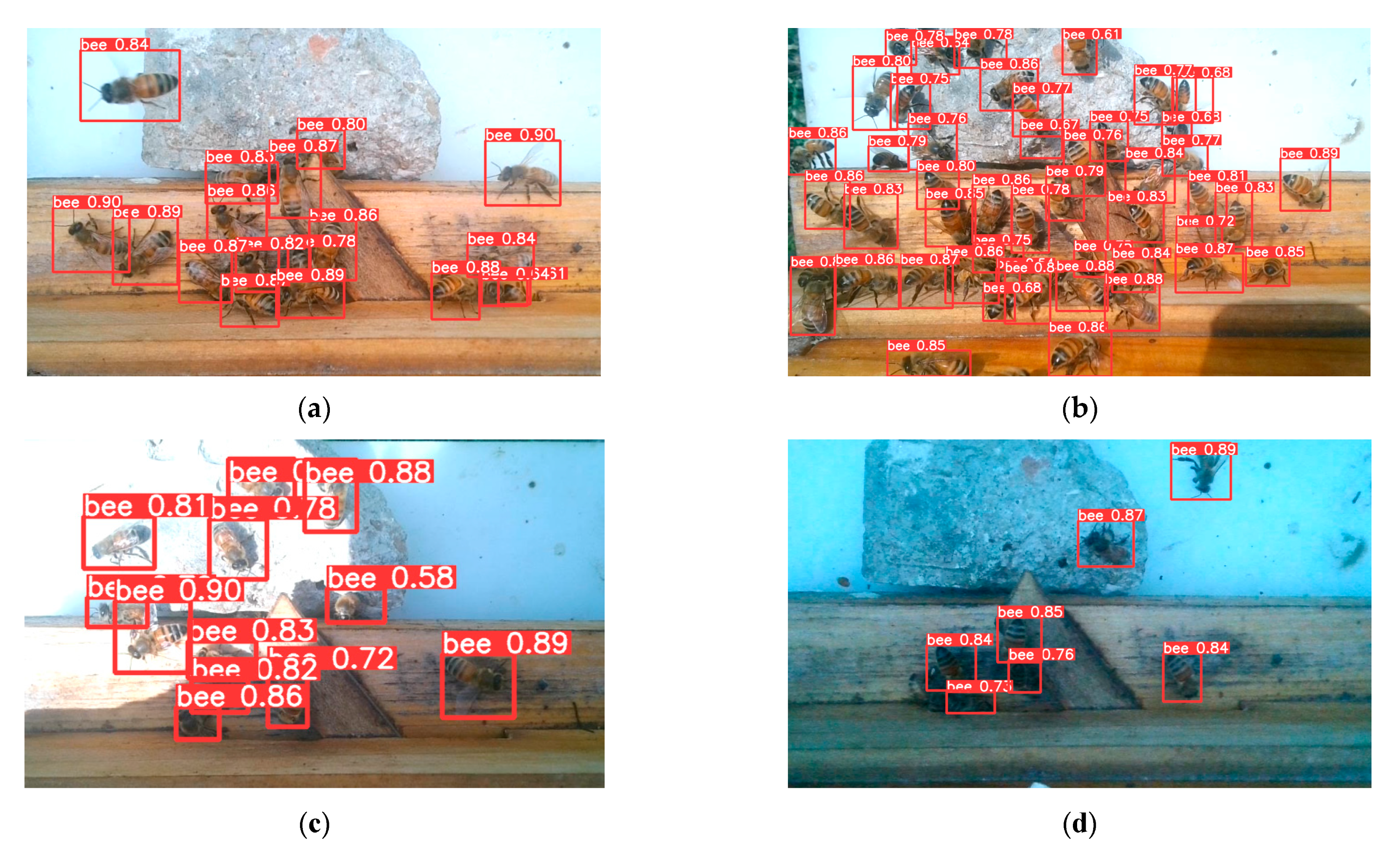 Insects 15 00974 g008