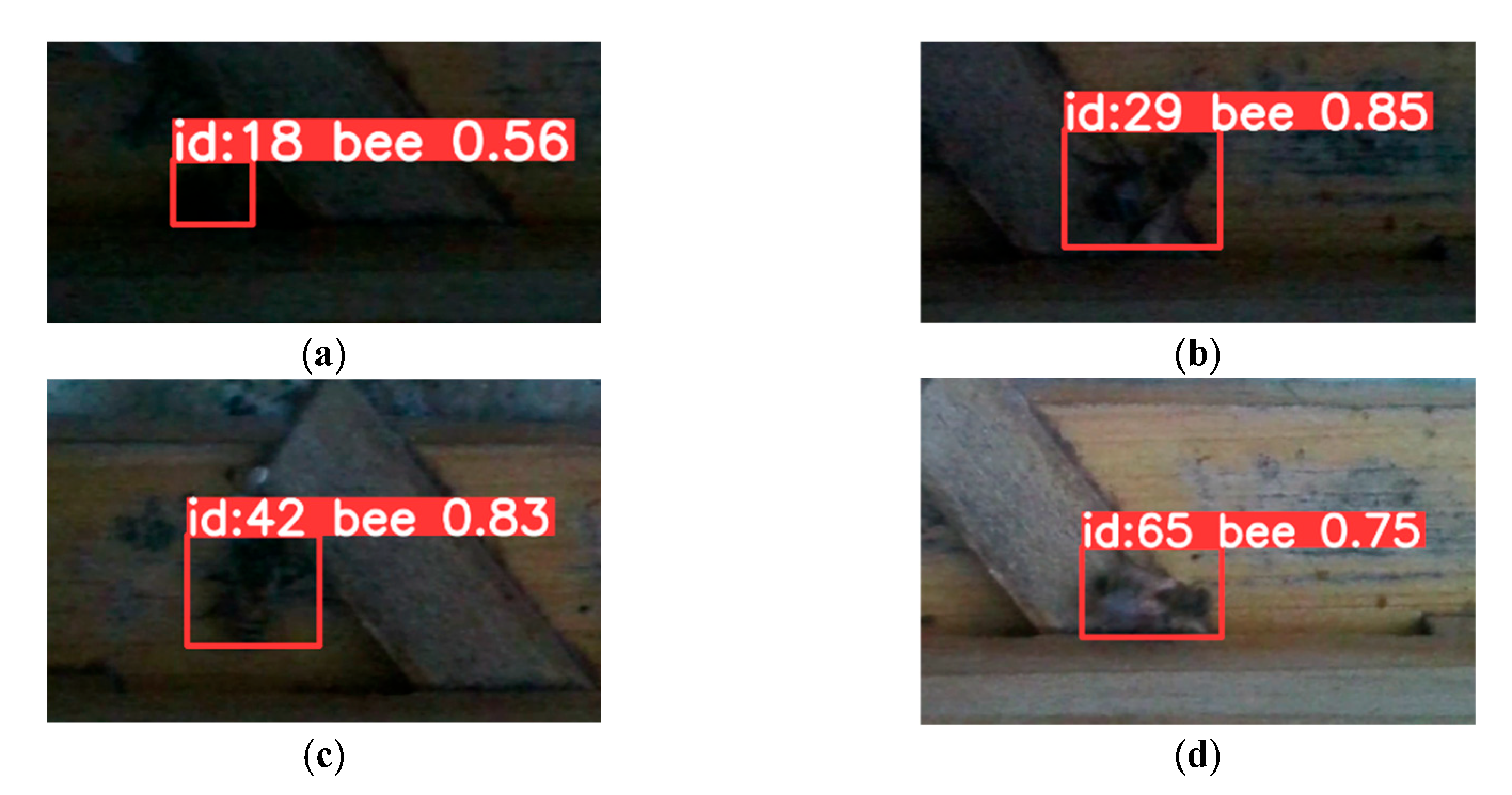 Insects 15 00974 g009