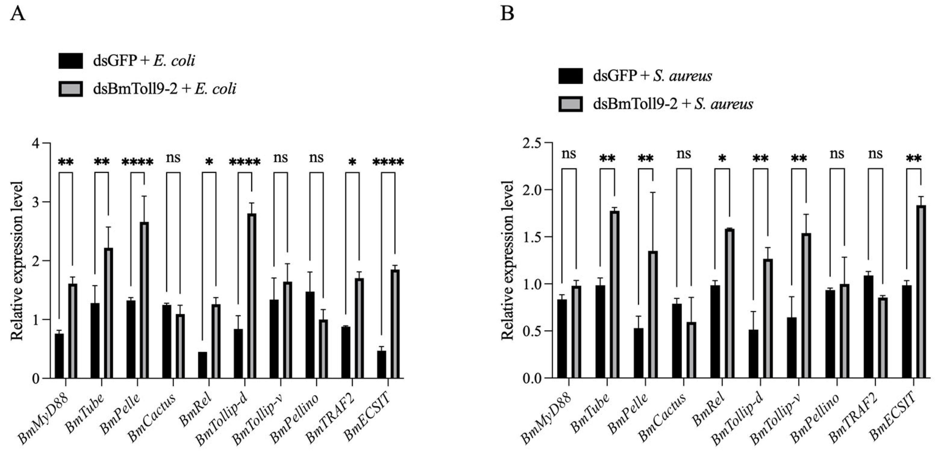 Insects 15 01005 g004