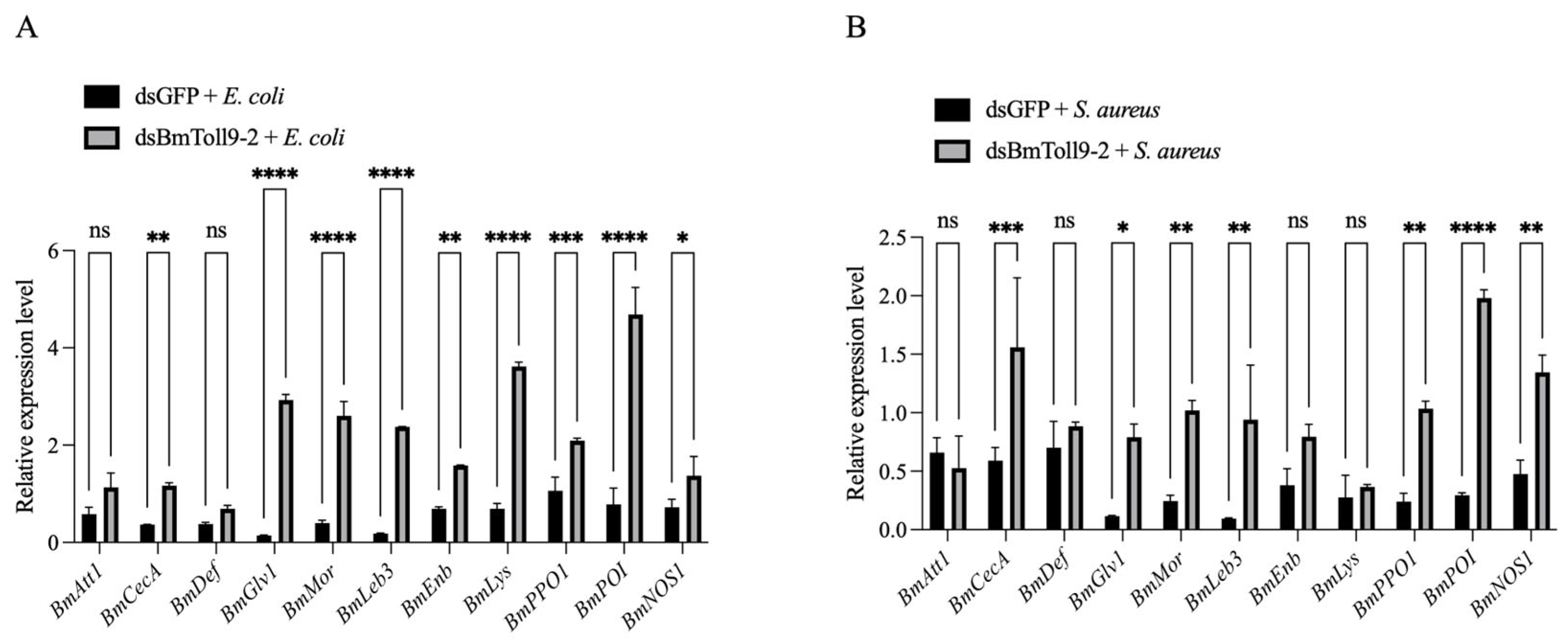 Insects 15 01005 g005
