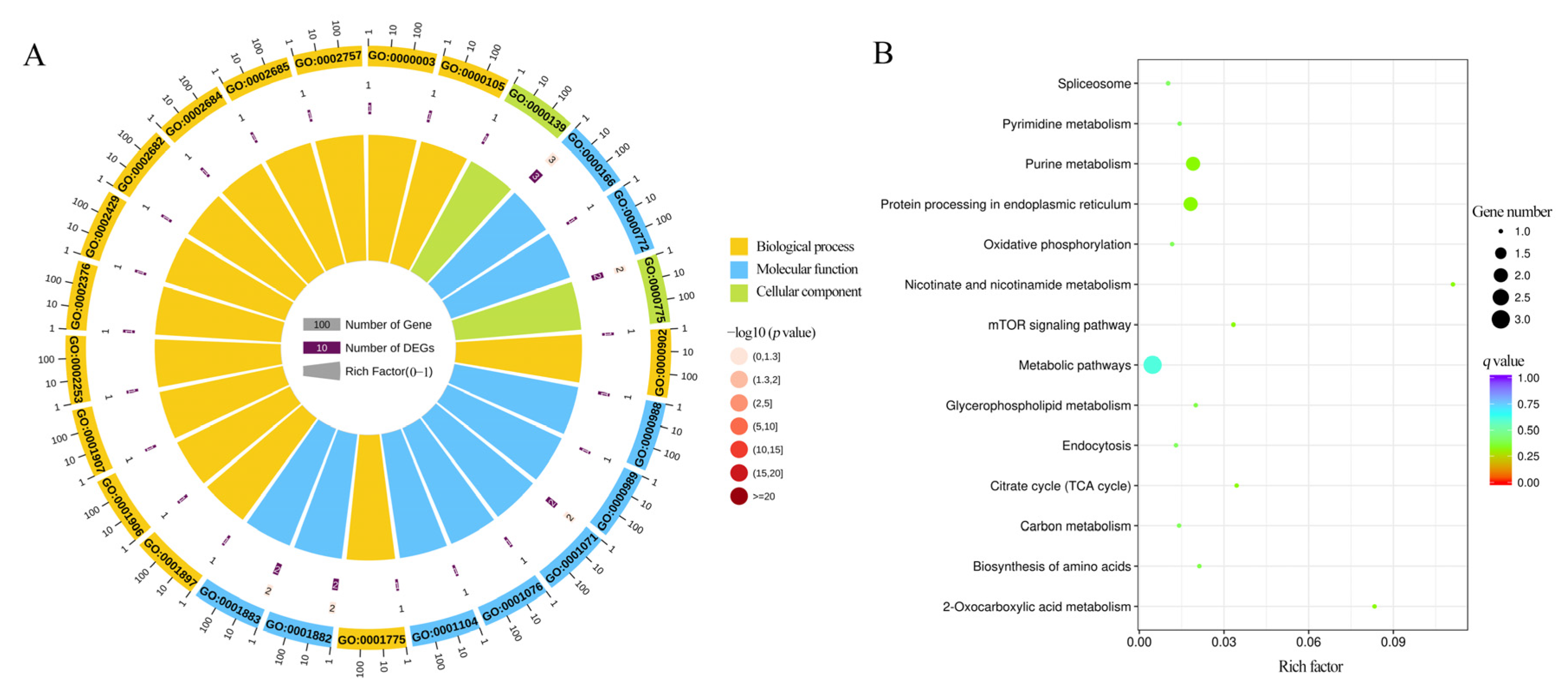 Insects 15 01006 g002
