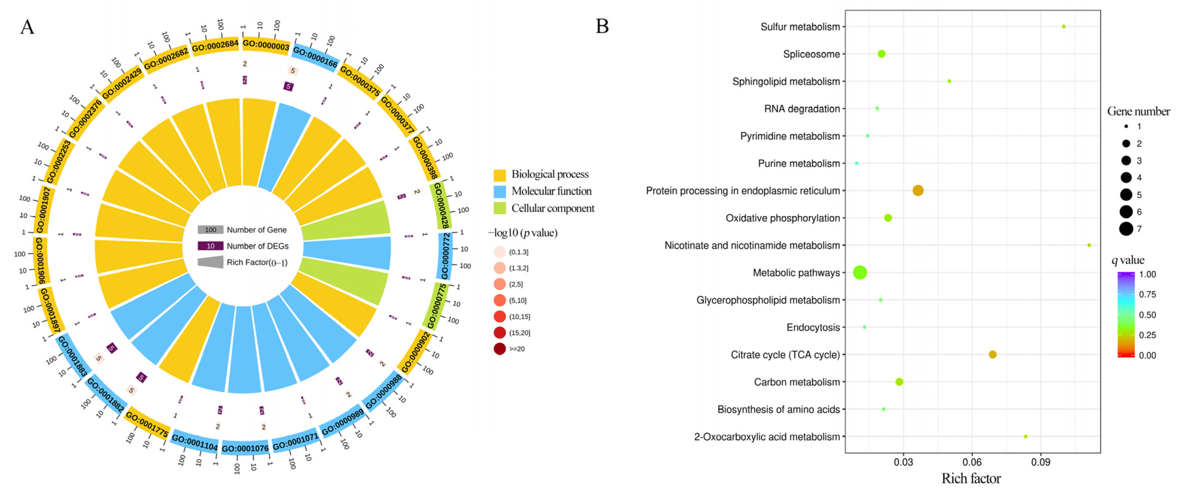 Insects 15 01006 g005