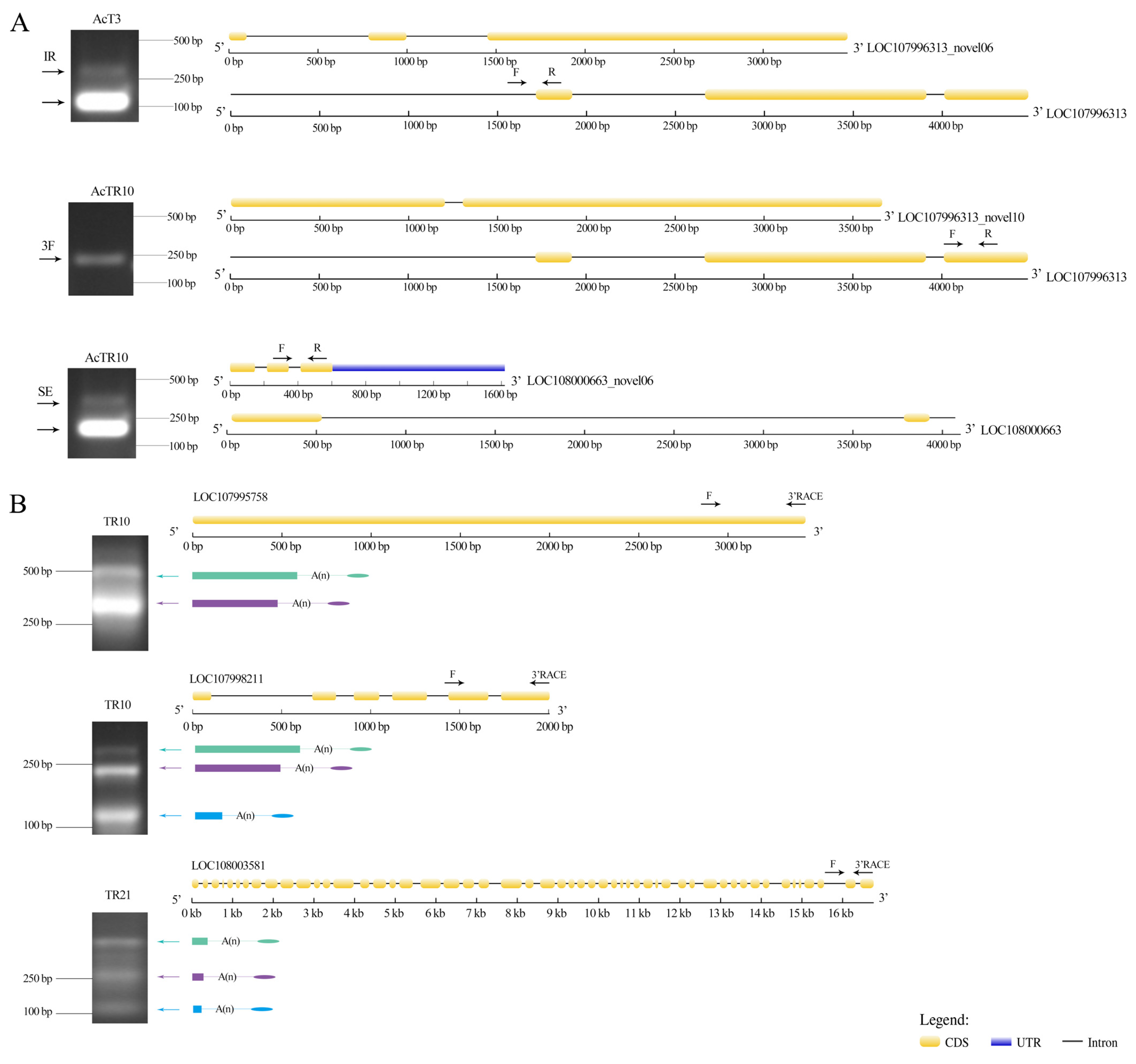 Insects 15 01006 g007