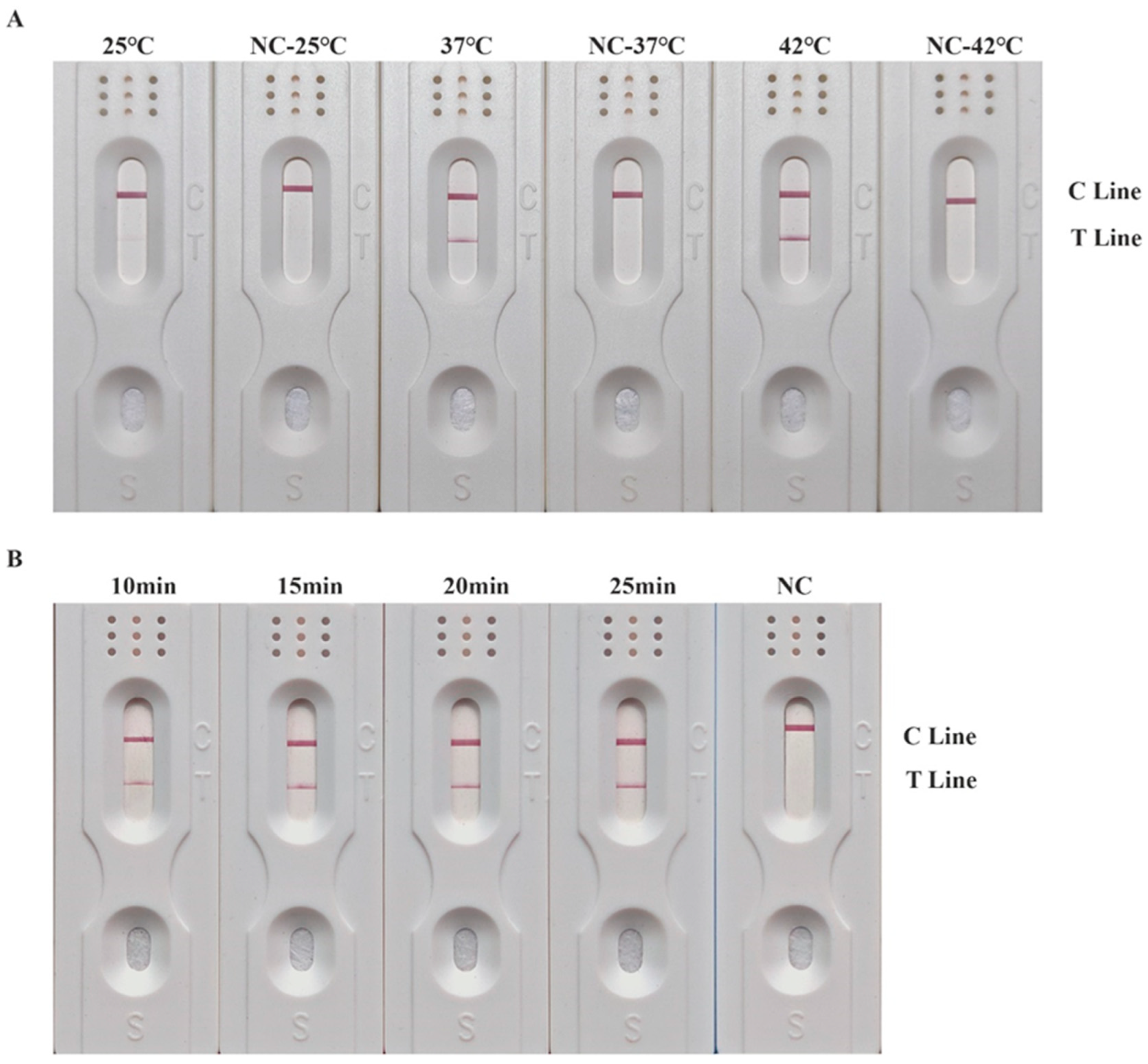 Insects 15 01008 g001