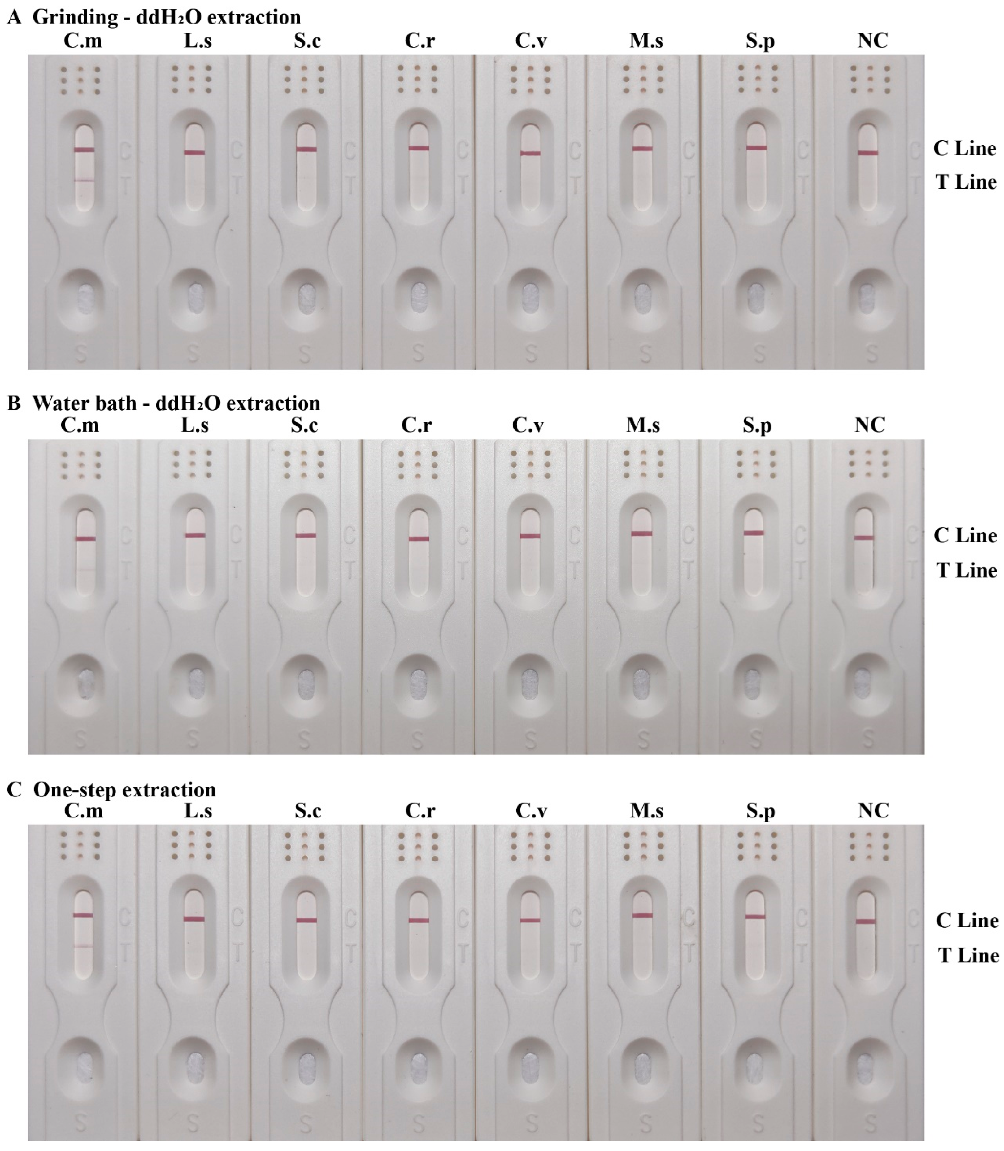 Insects 15 01008 g005