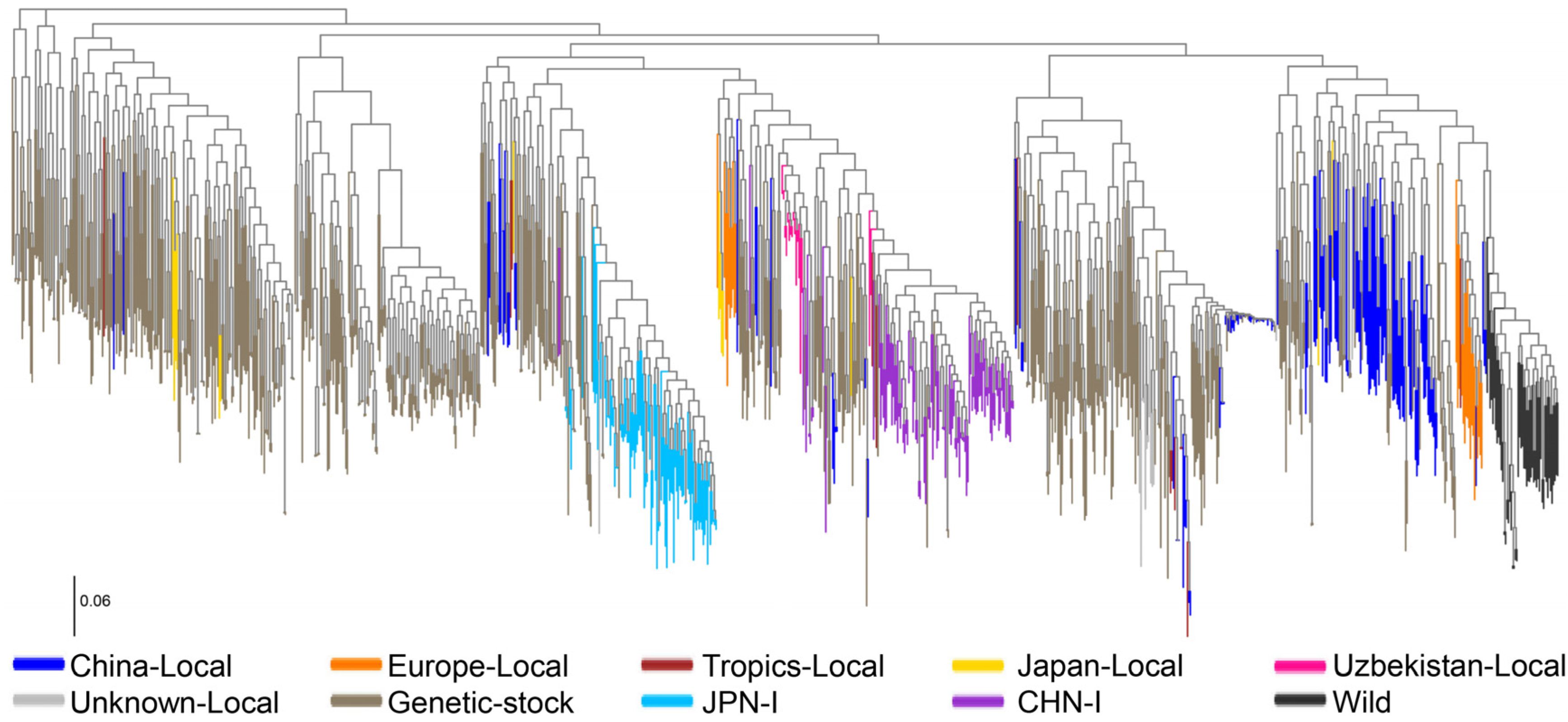 Insects 15 01020 g002