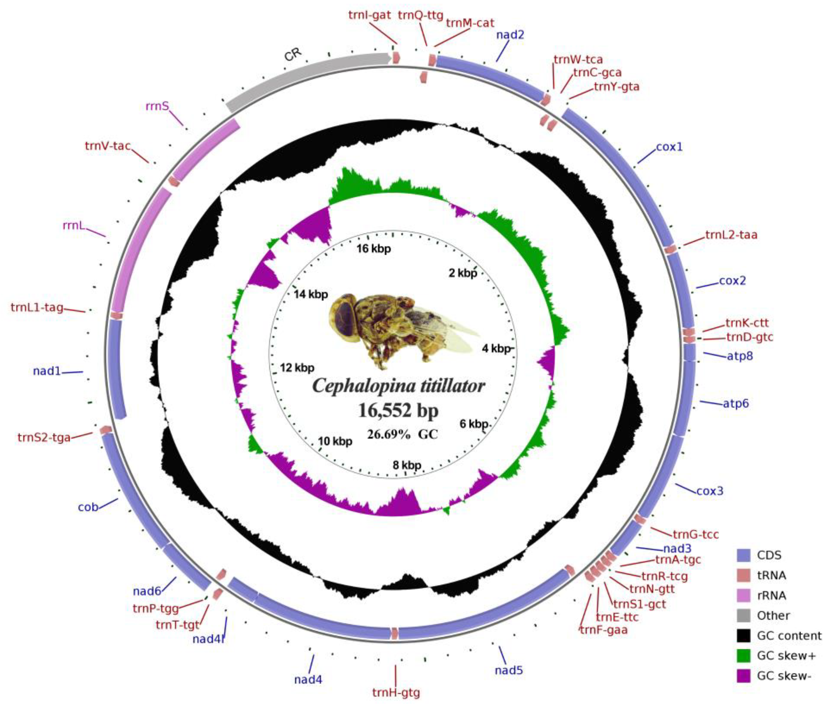 Insects 16 00006 g002 Insects 16 00006 g002