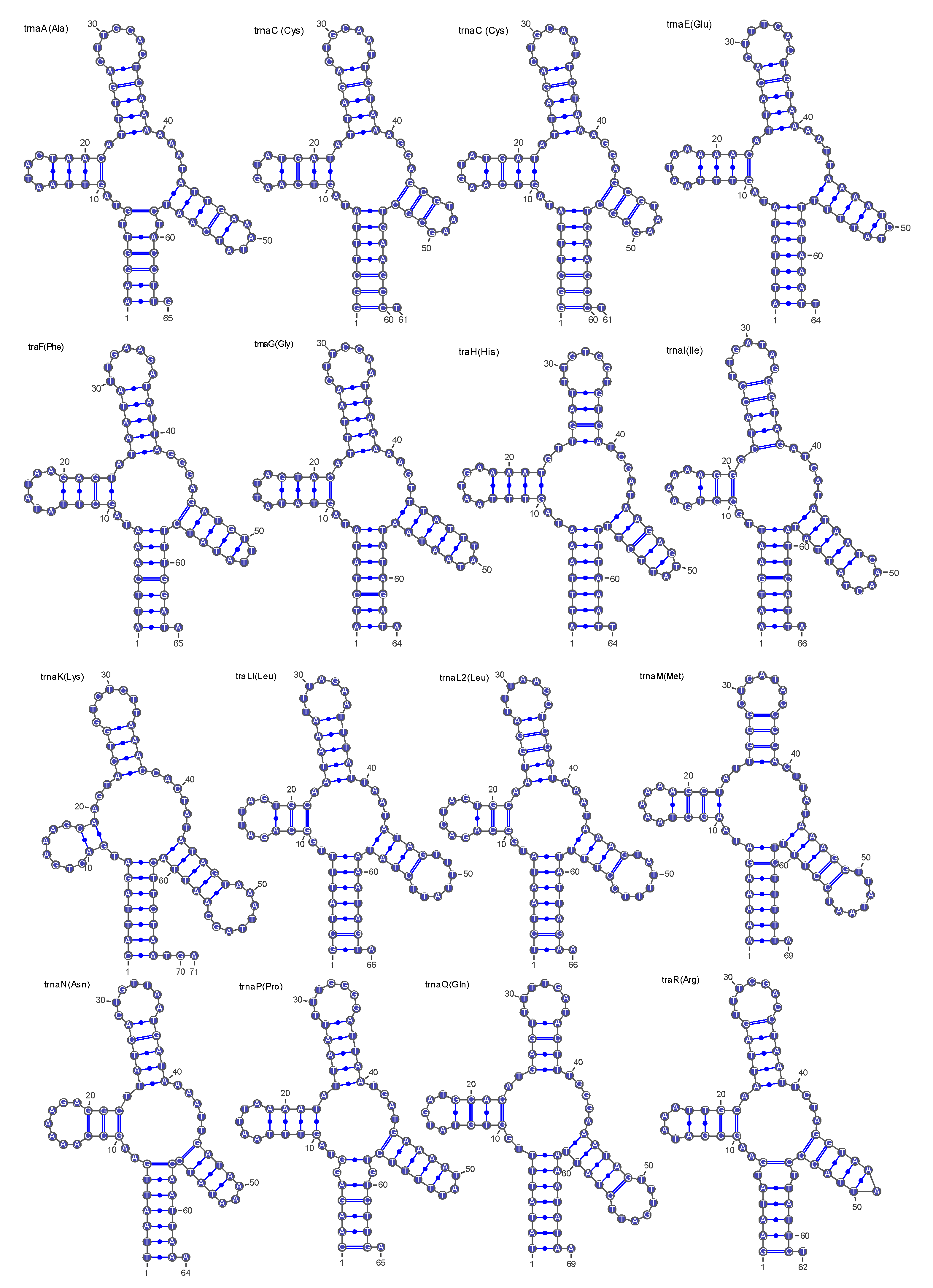 Insects 16 00006 g004a Insects 16 00006 g004a