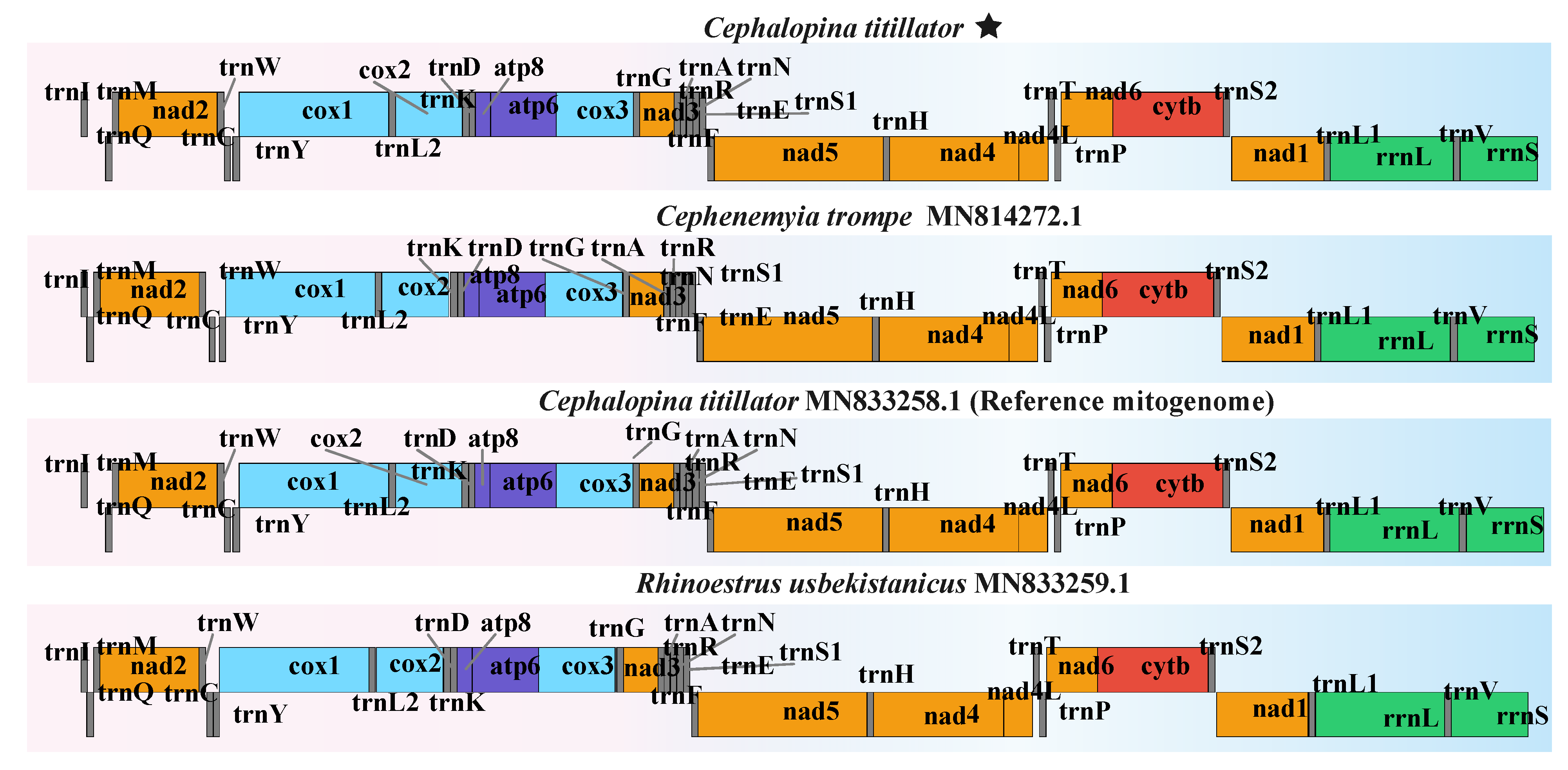 Insects 16 00006 g006 Insects 16 00006 g006