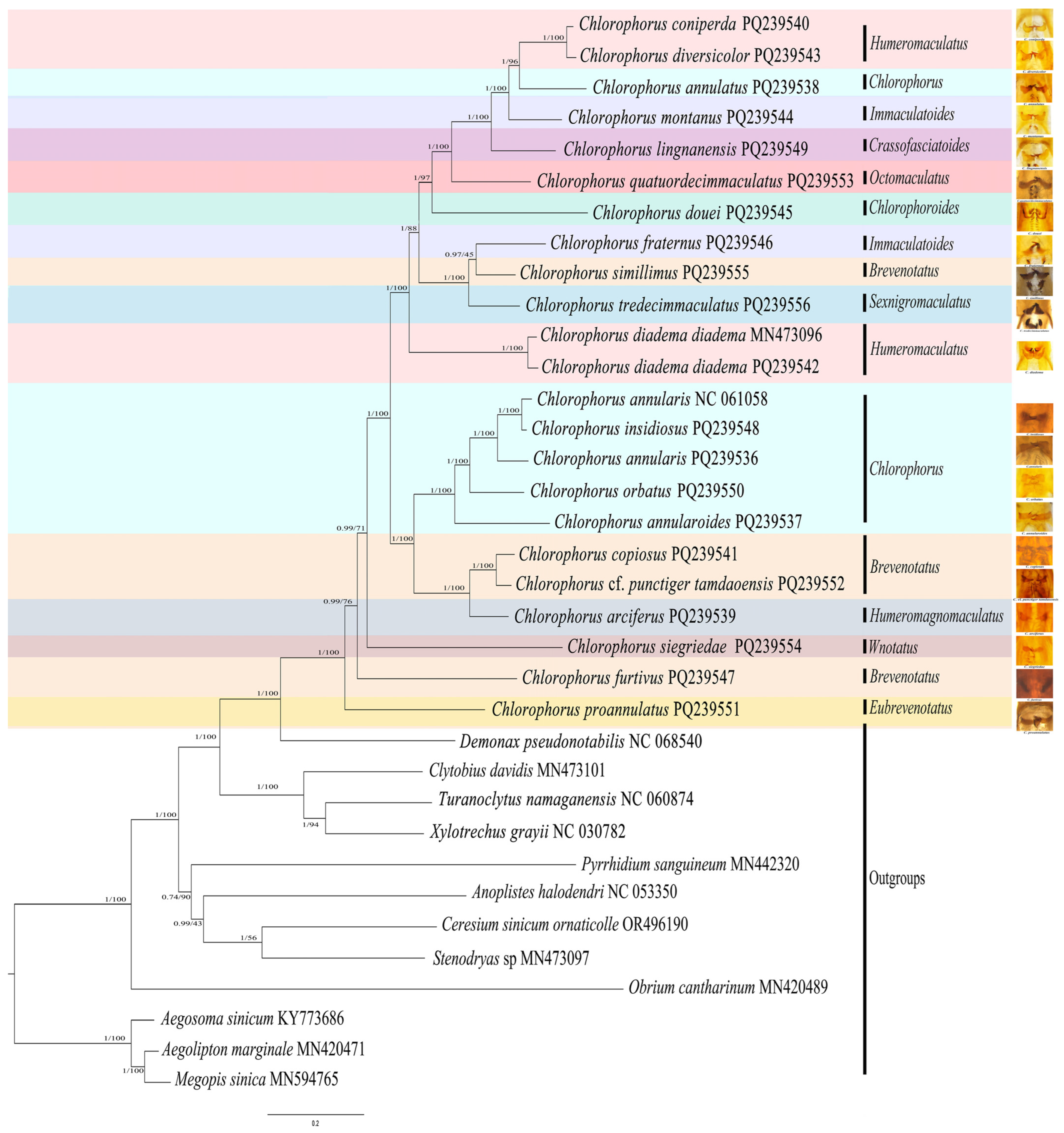 Insects 16 00008 g002