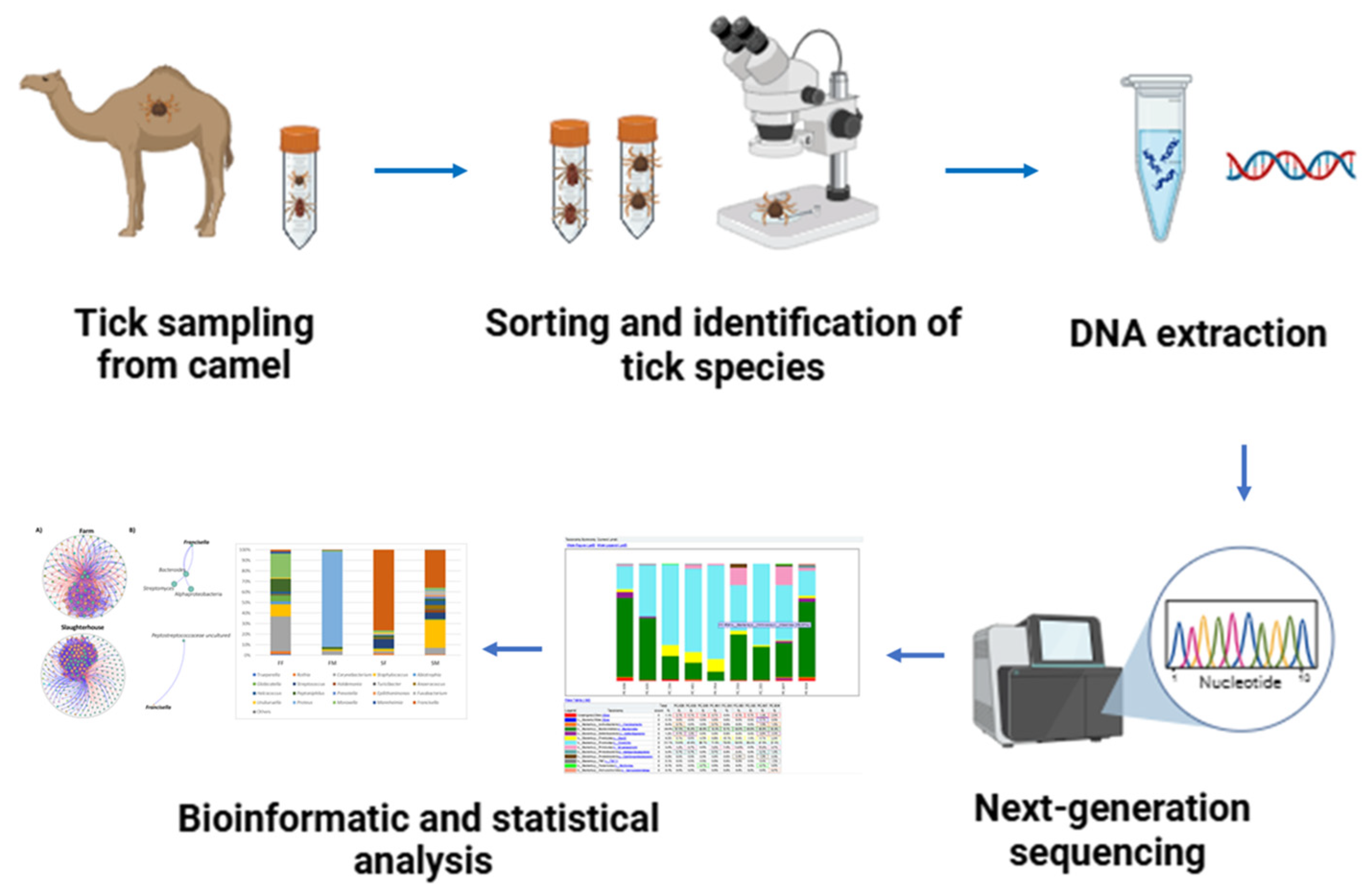 Insects 16 00011 g001