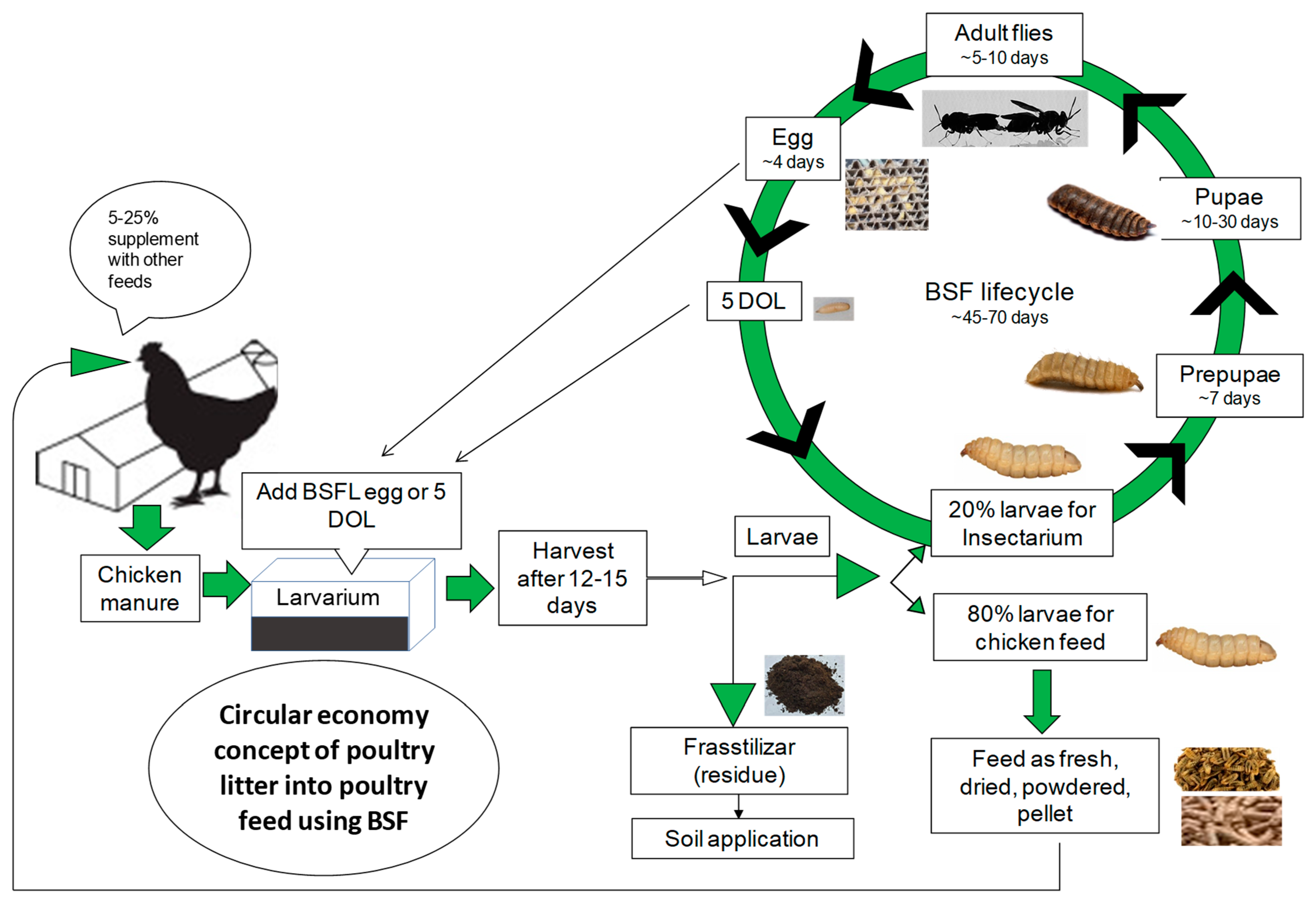 Insects 16 00012 g002
